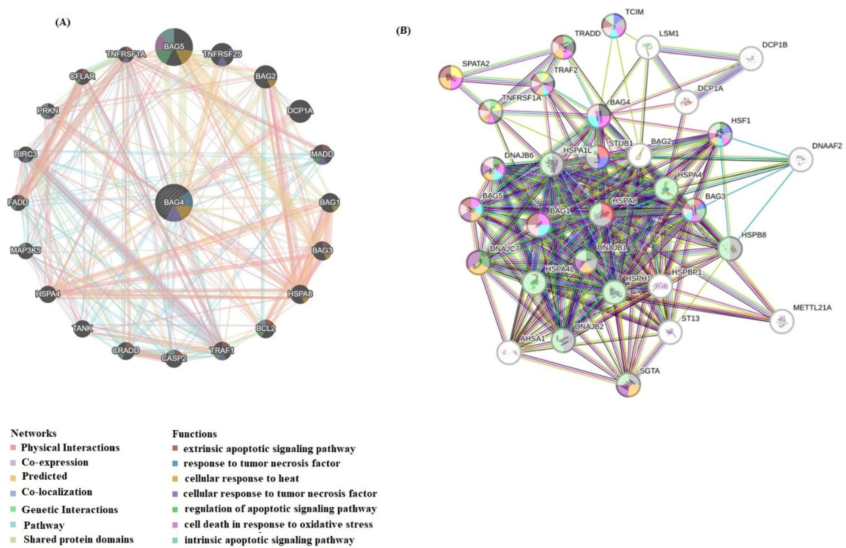 Medicina 61 01333 g007