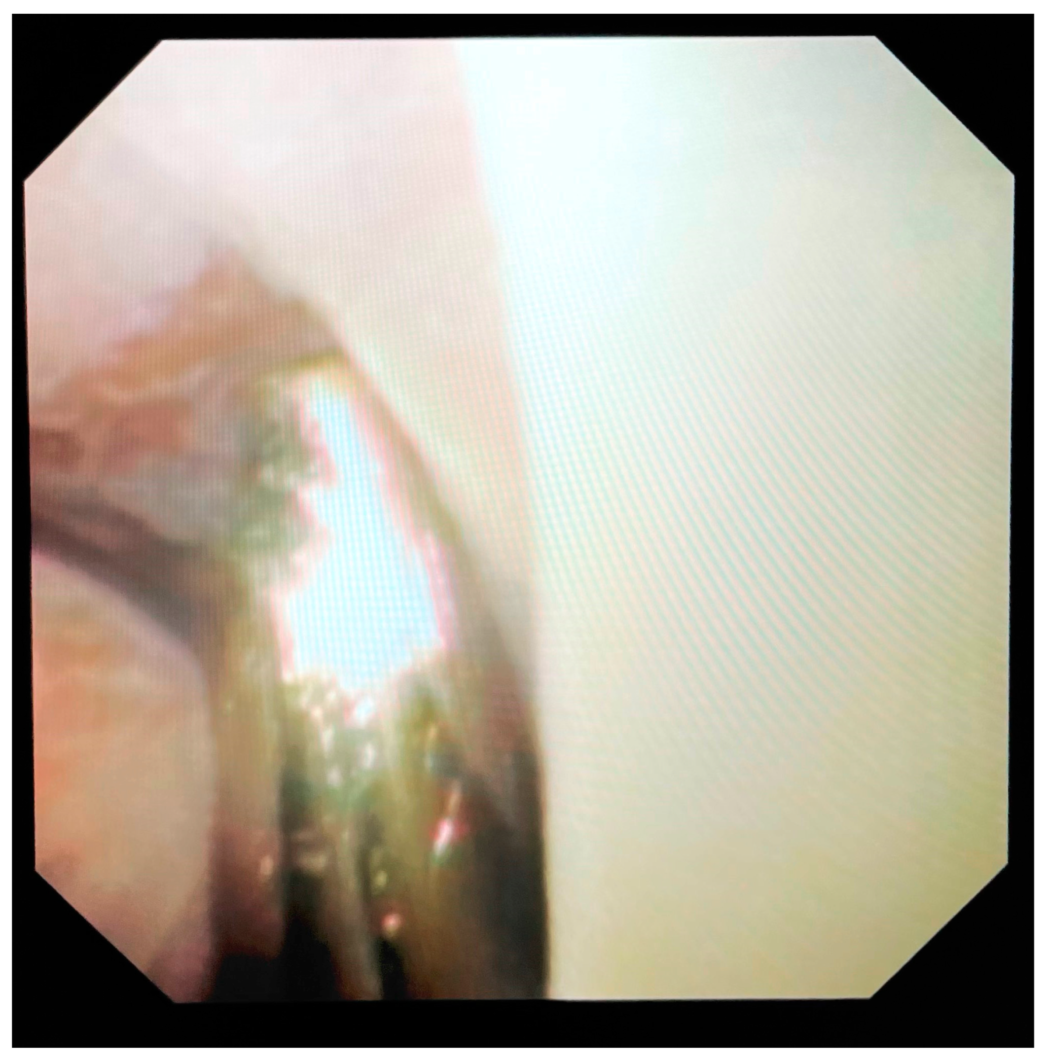 Medicina 61 01335 g002