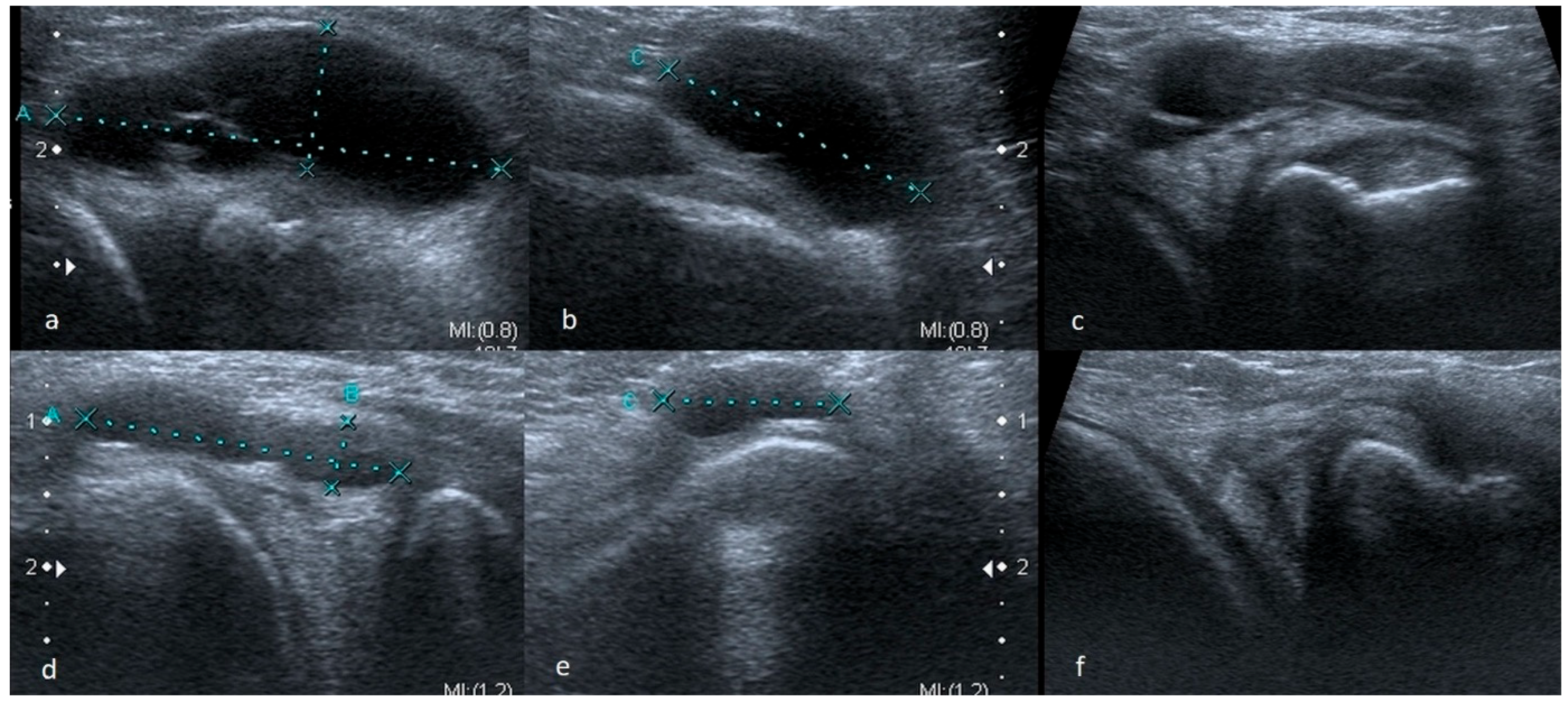 Medicina 61 01339 g002 Medicina 61 01339 g002
