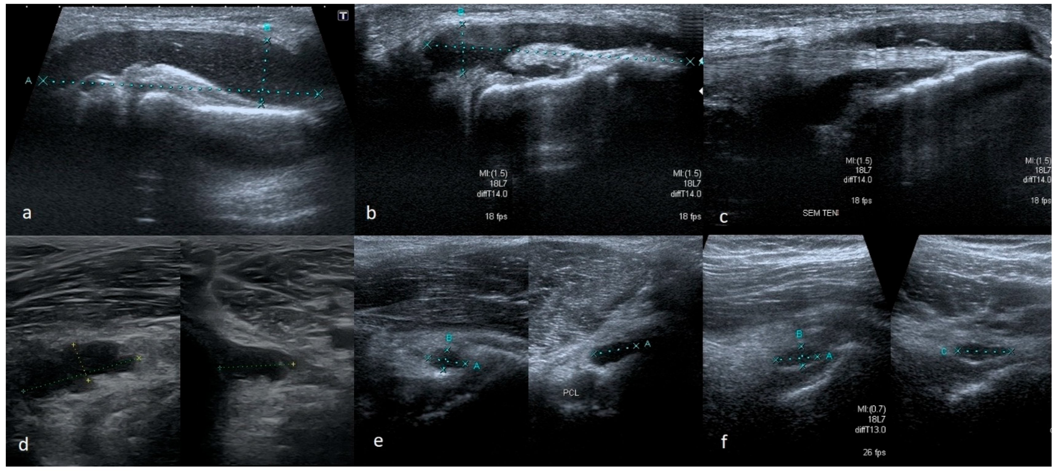 Medicina 61 01339 g003 Medicina 61 01339 g003