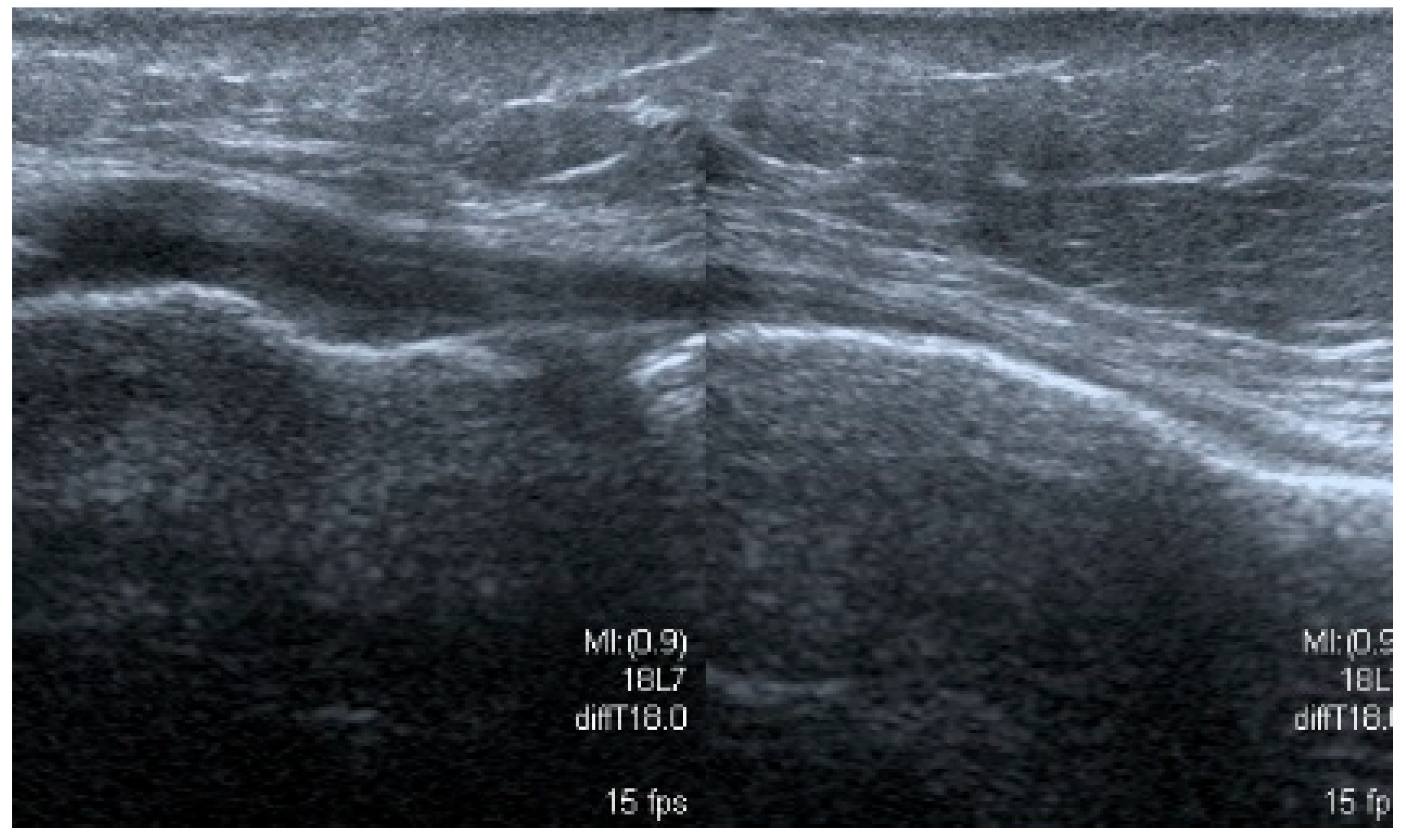 Medicina 61 01339 g009 Medicina 61 01339 g009