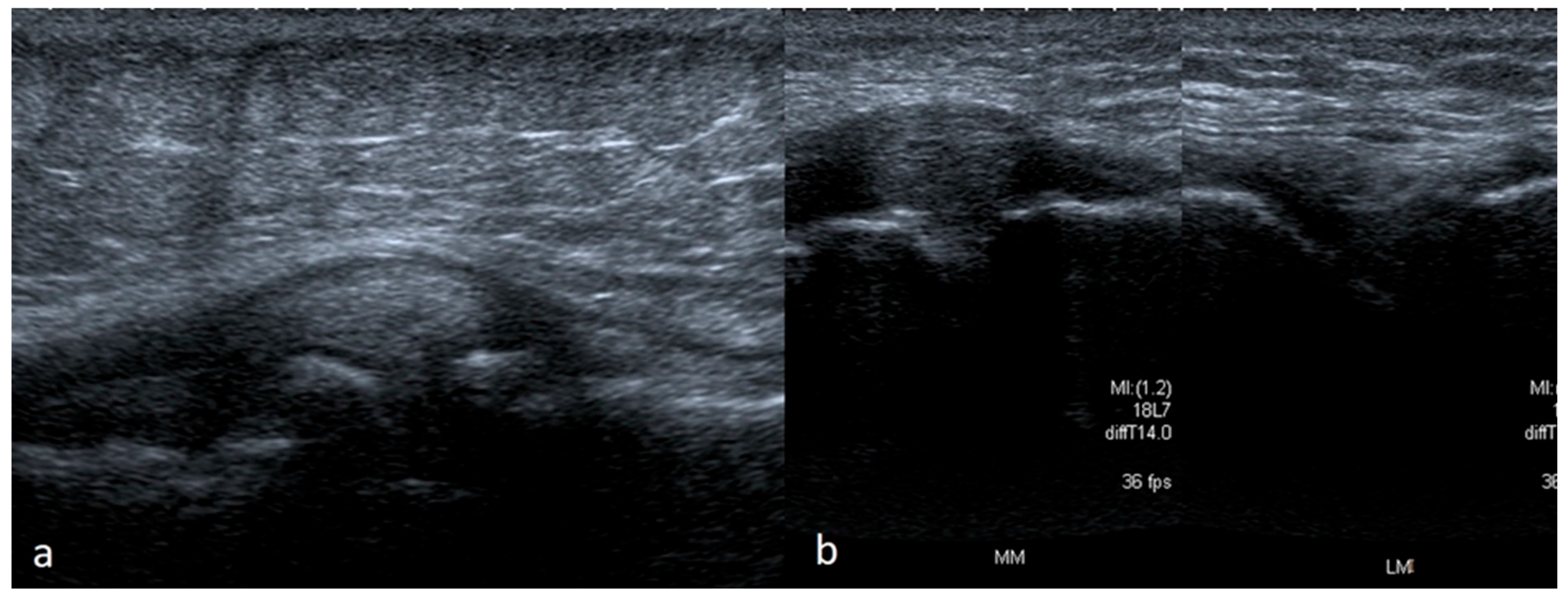 Medicina 61 01339 g012 Medicina 61 01339 g012