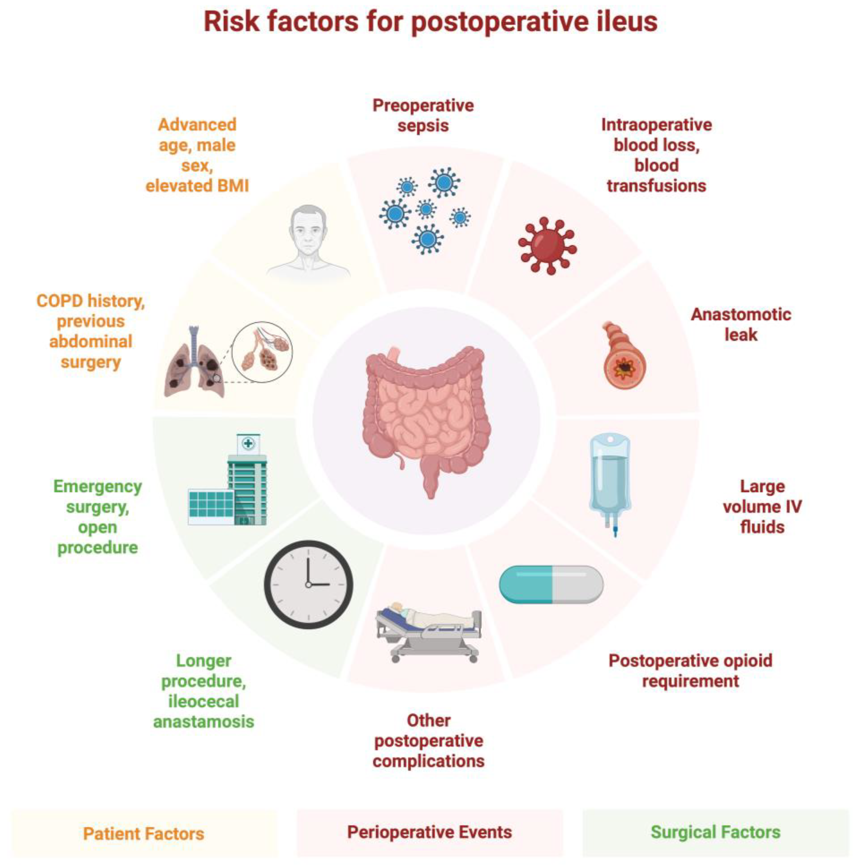 Medicina 61 01344 g002