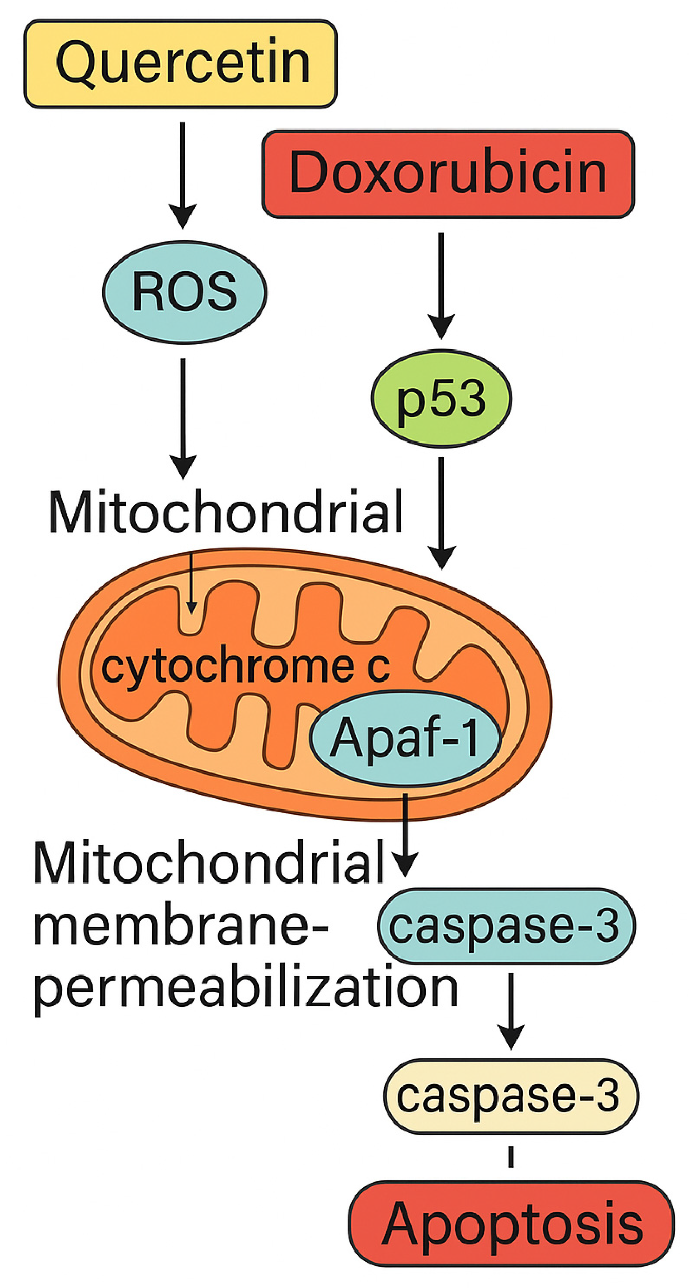 Medicina 61 01347 g001