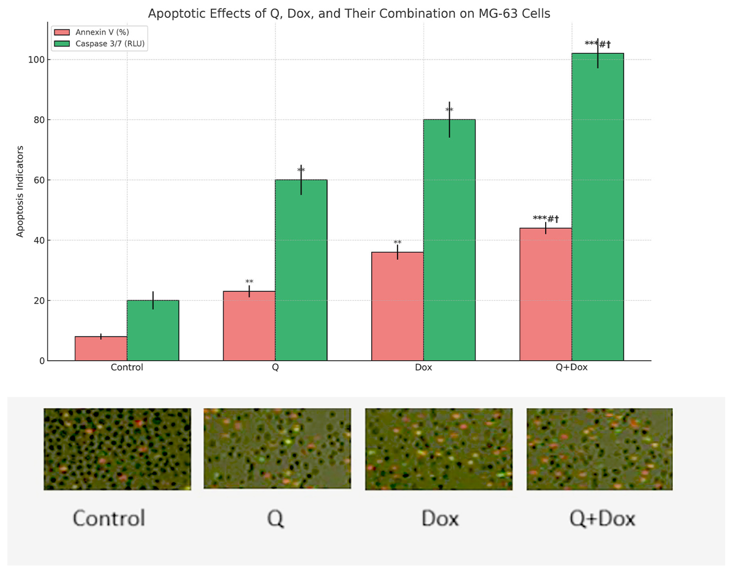 Medicina 61 01347 g006