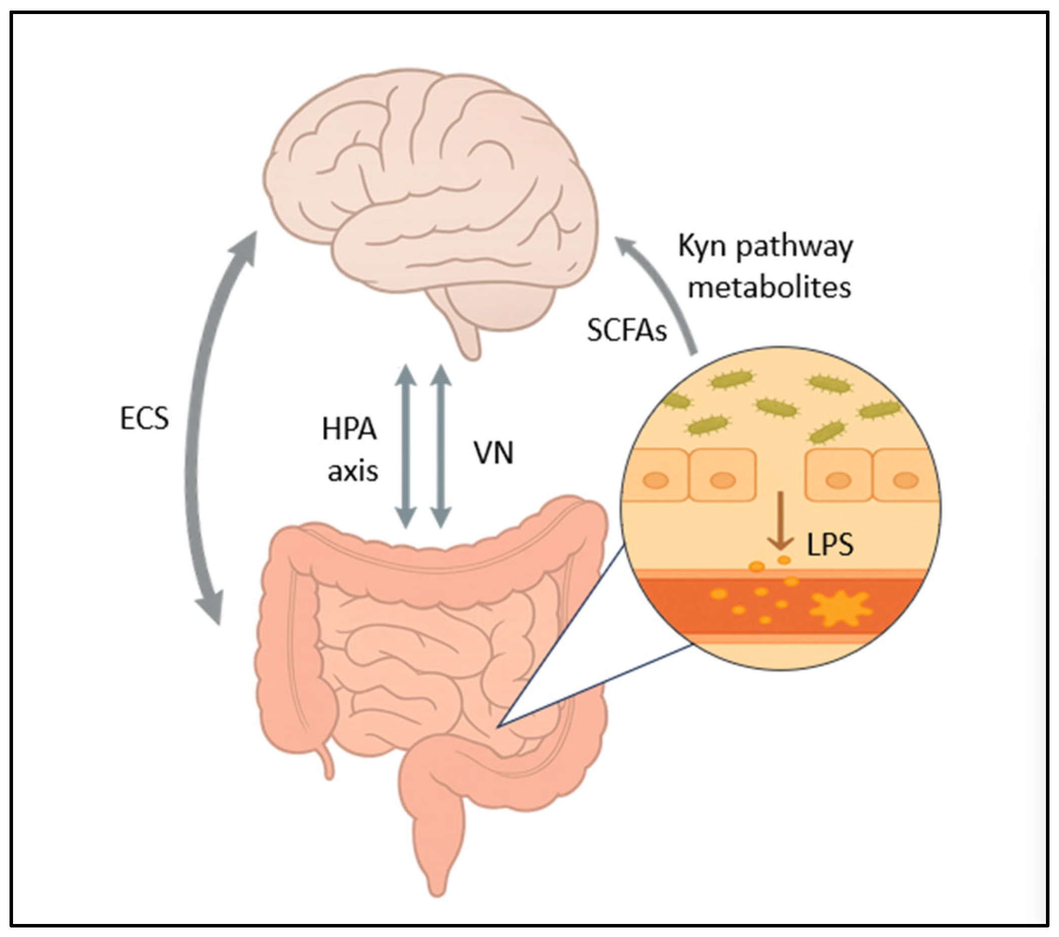 Medicina 61 01360 g002