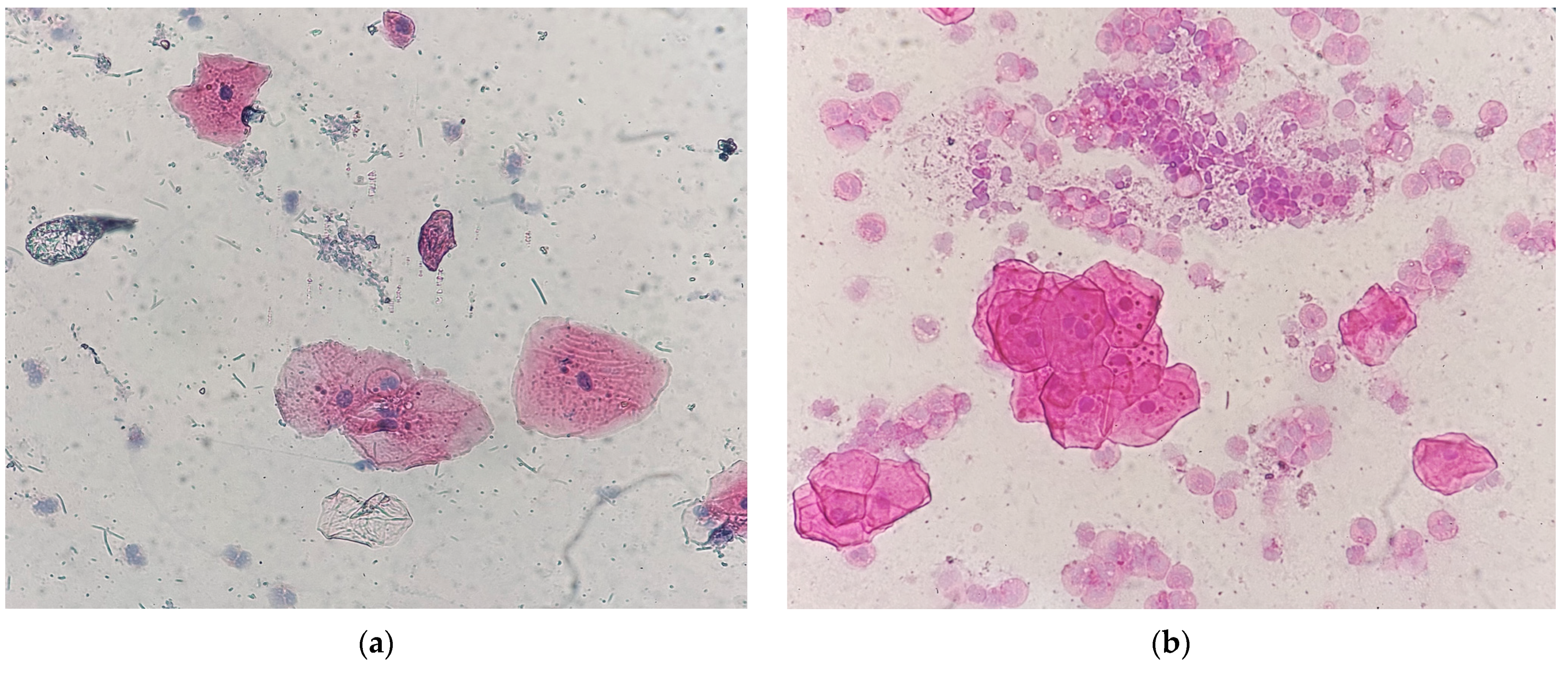 Medicina 61 01363 g001