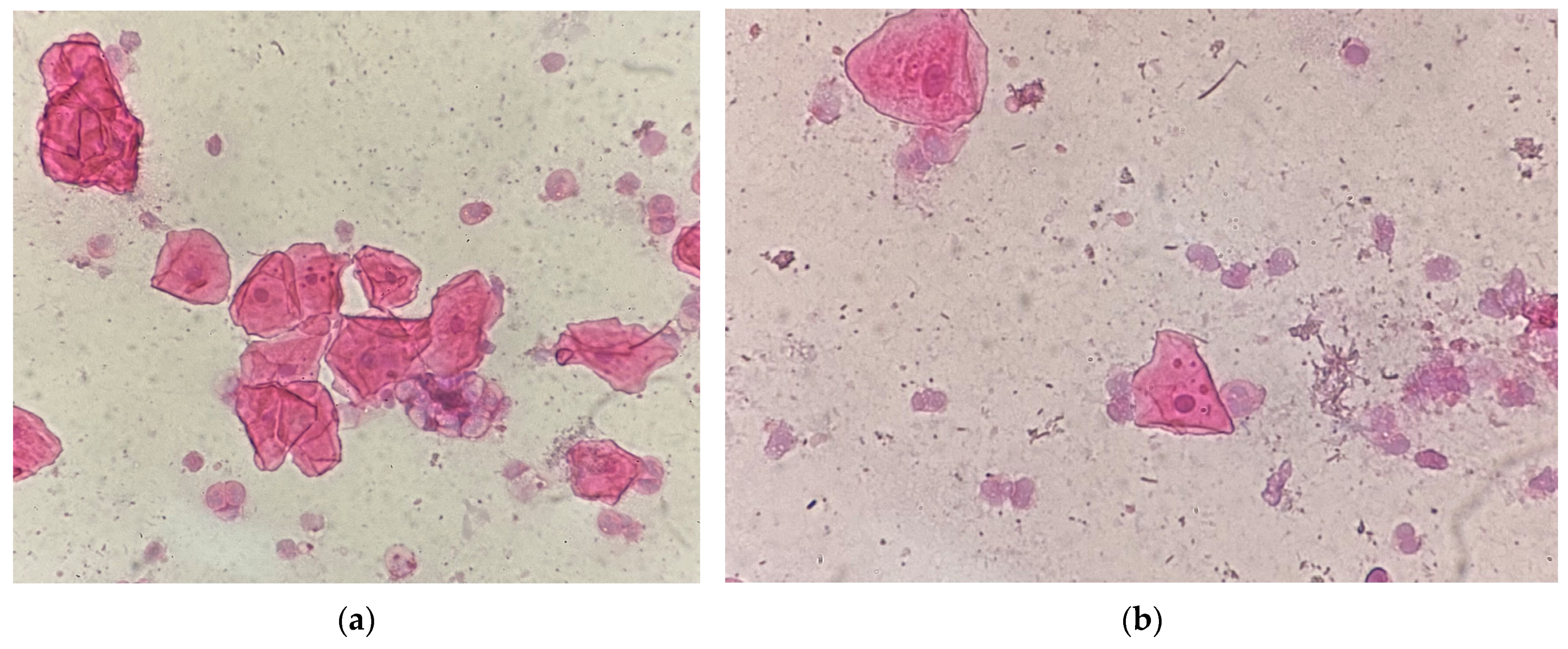 Medicina 61 01363 g002