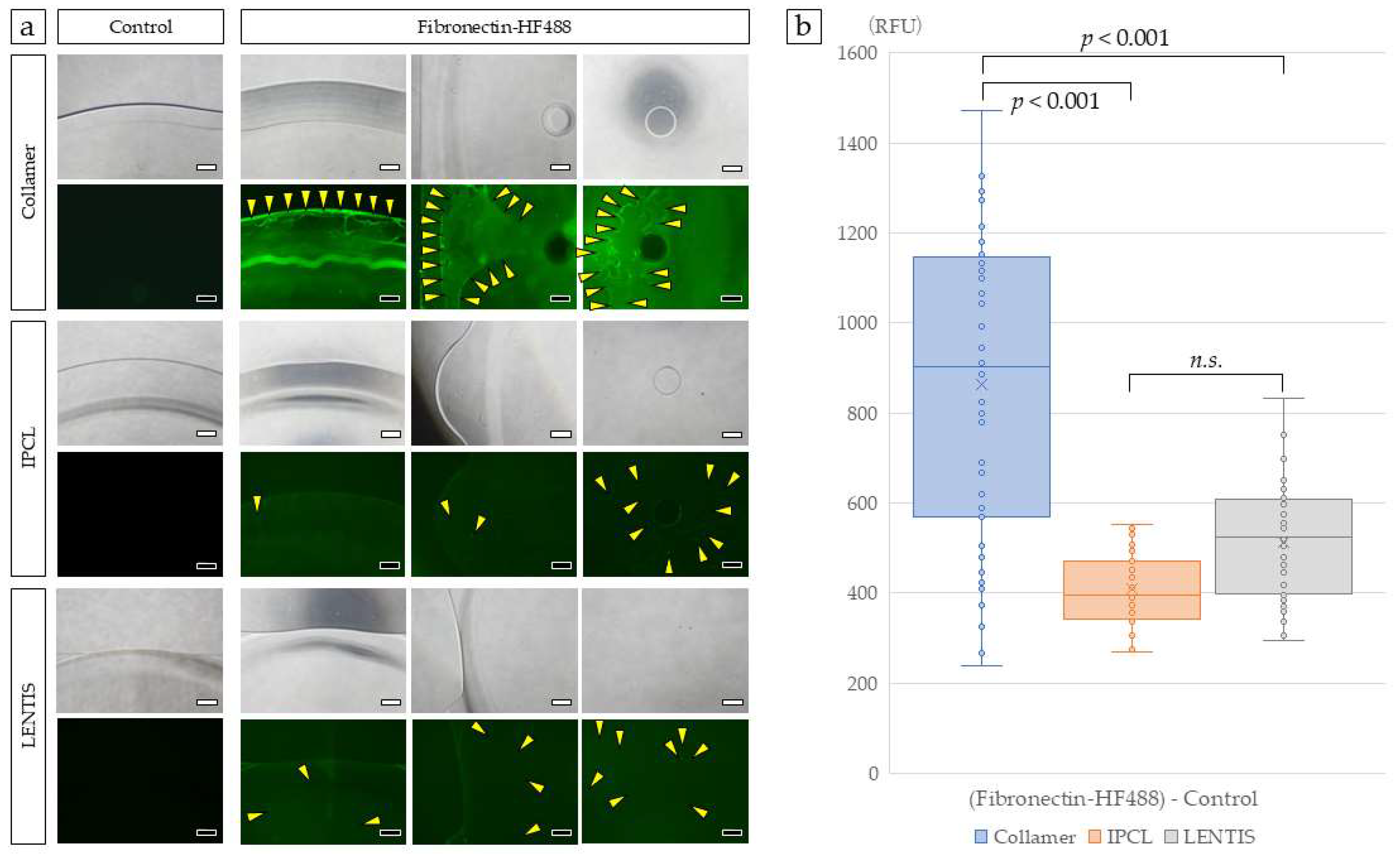 Medicina 61 01384 g002