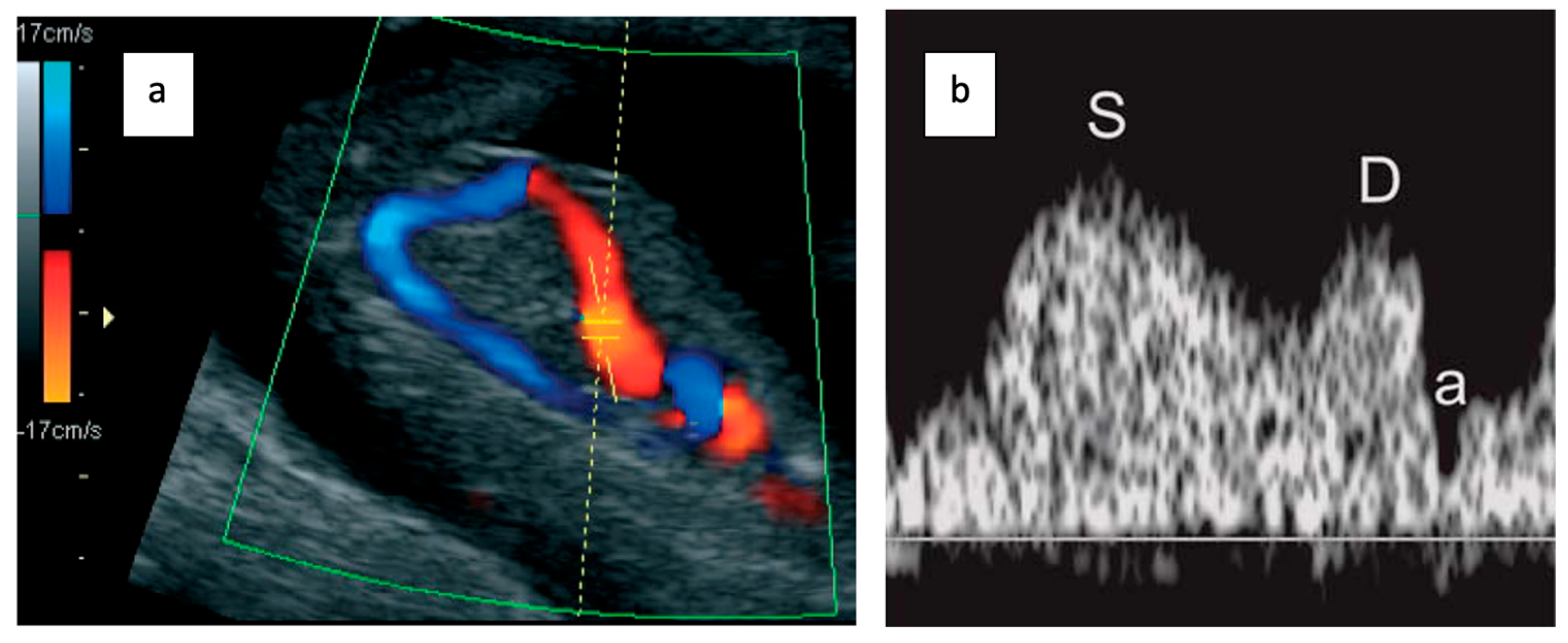 Medicina 61 01391 g001