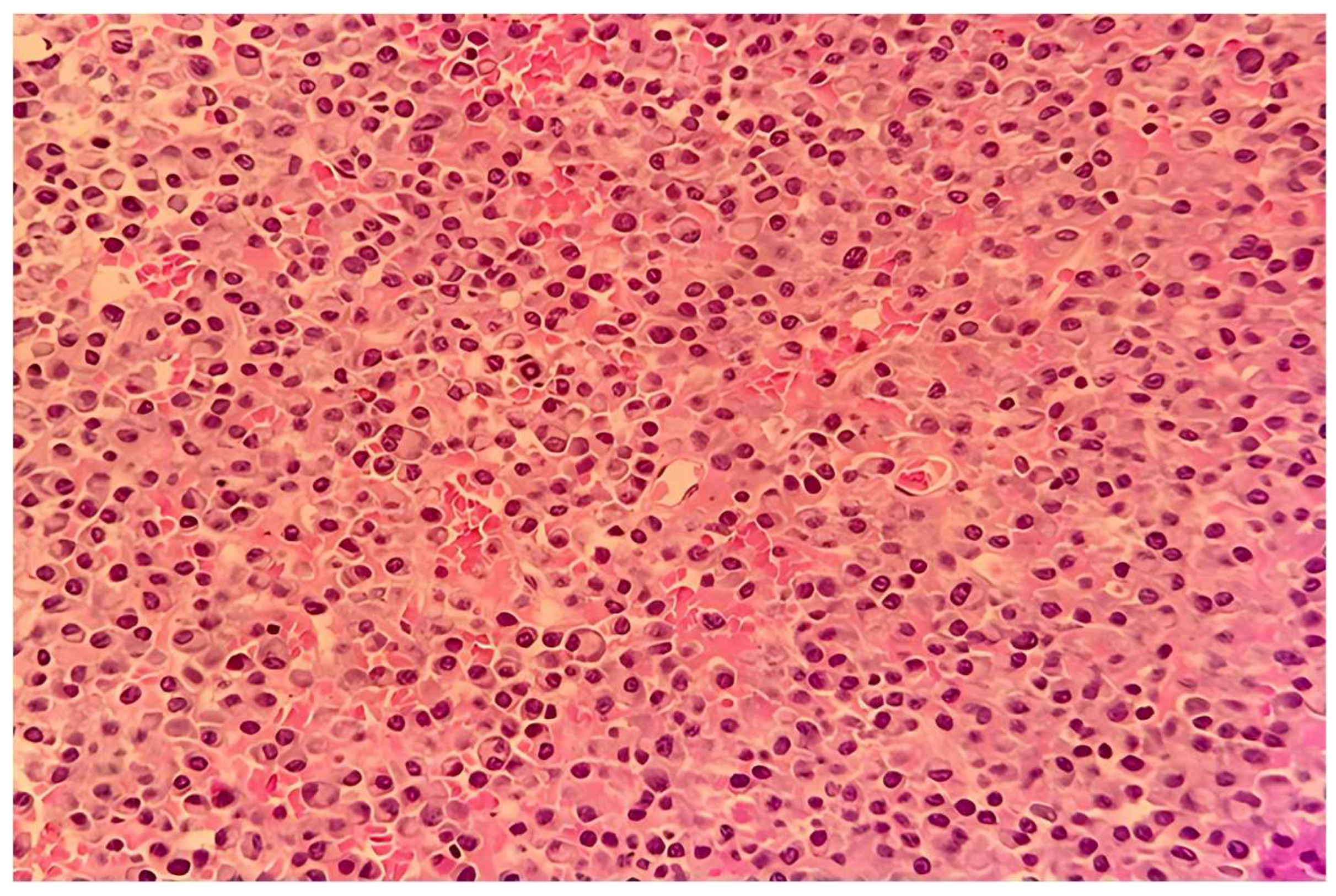 Medicina 61 01406 g005 Medicina 61 01406 g005