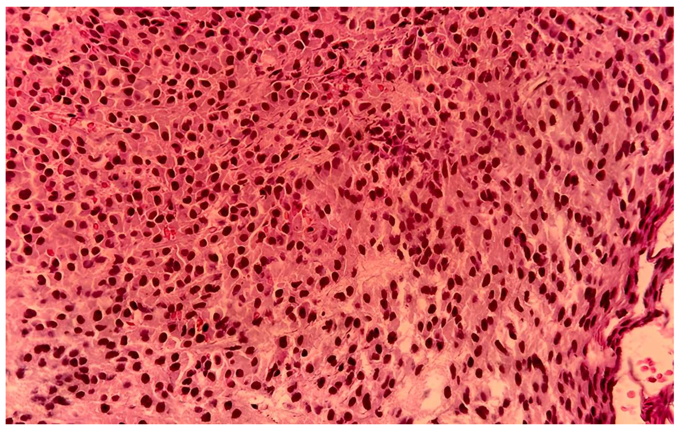 Medicina 61 01406 g006 Medicina 61 01406 g006