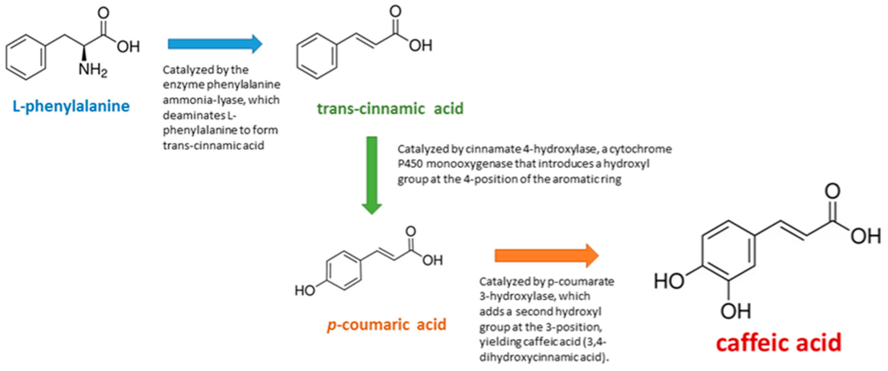 Medicina 61 01428 g001 Medicina 61 01428 g001