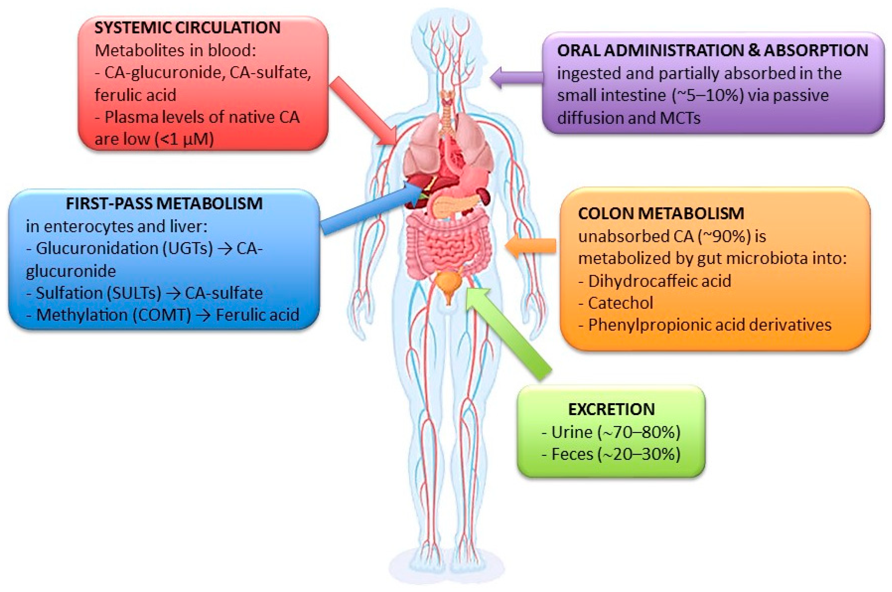 Medicina 61 01428 g002 Medicina 61 01428 g002