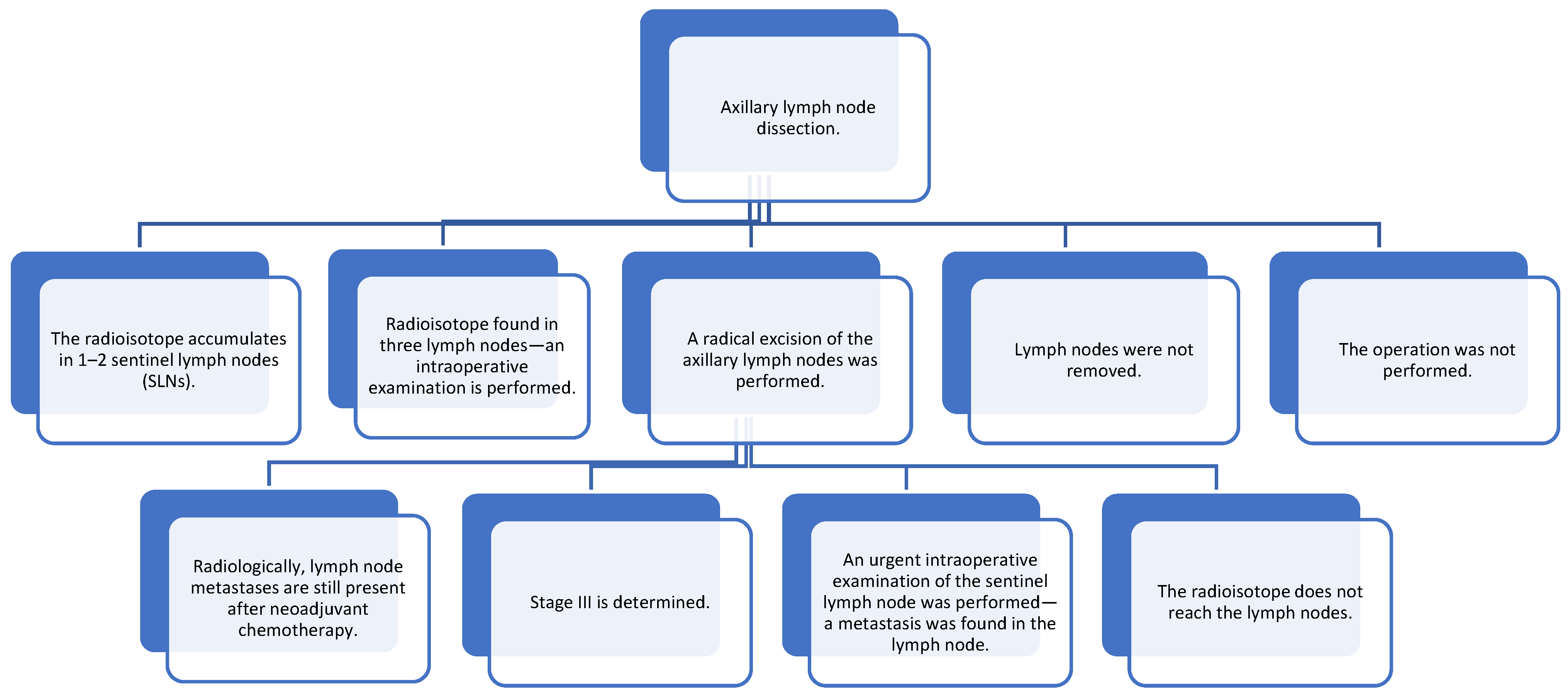 Medicina 61 01429 g004