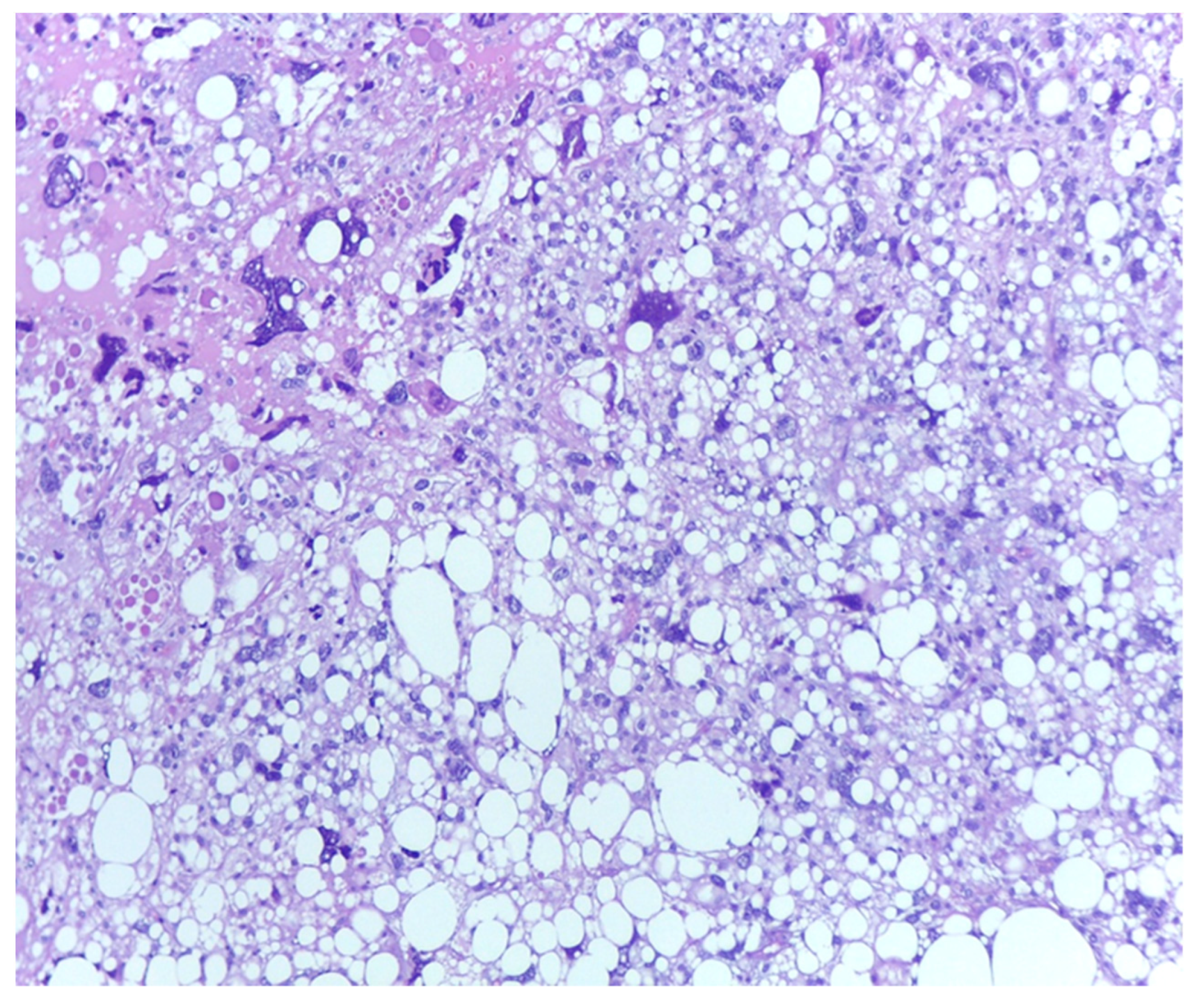 Medicina 61 01431 g004