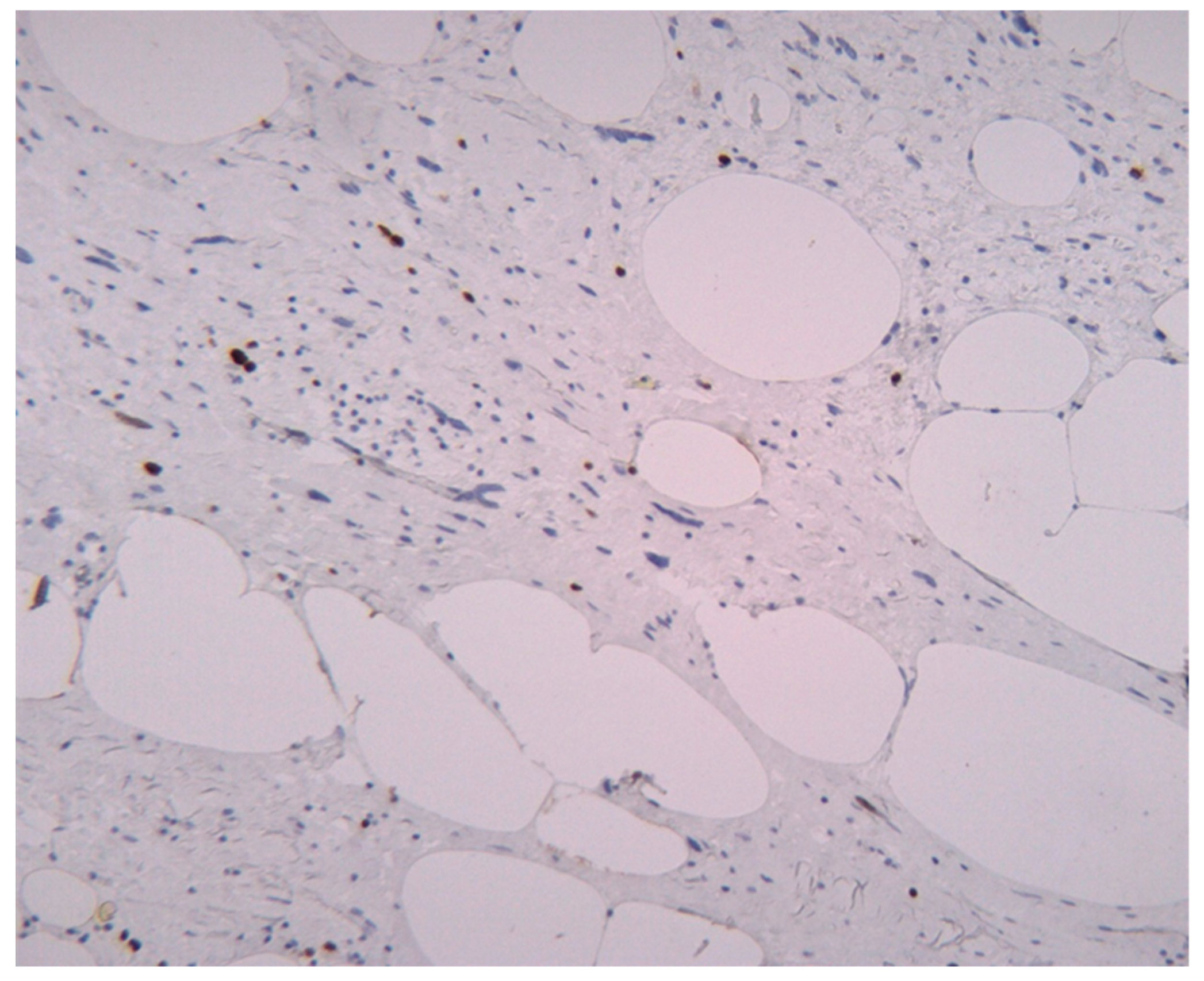 Medicina 61 01431 g007