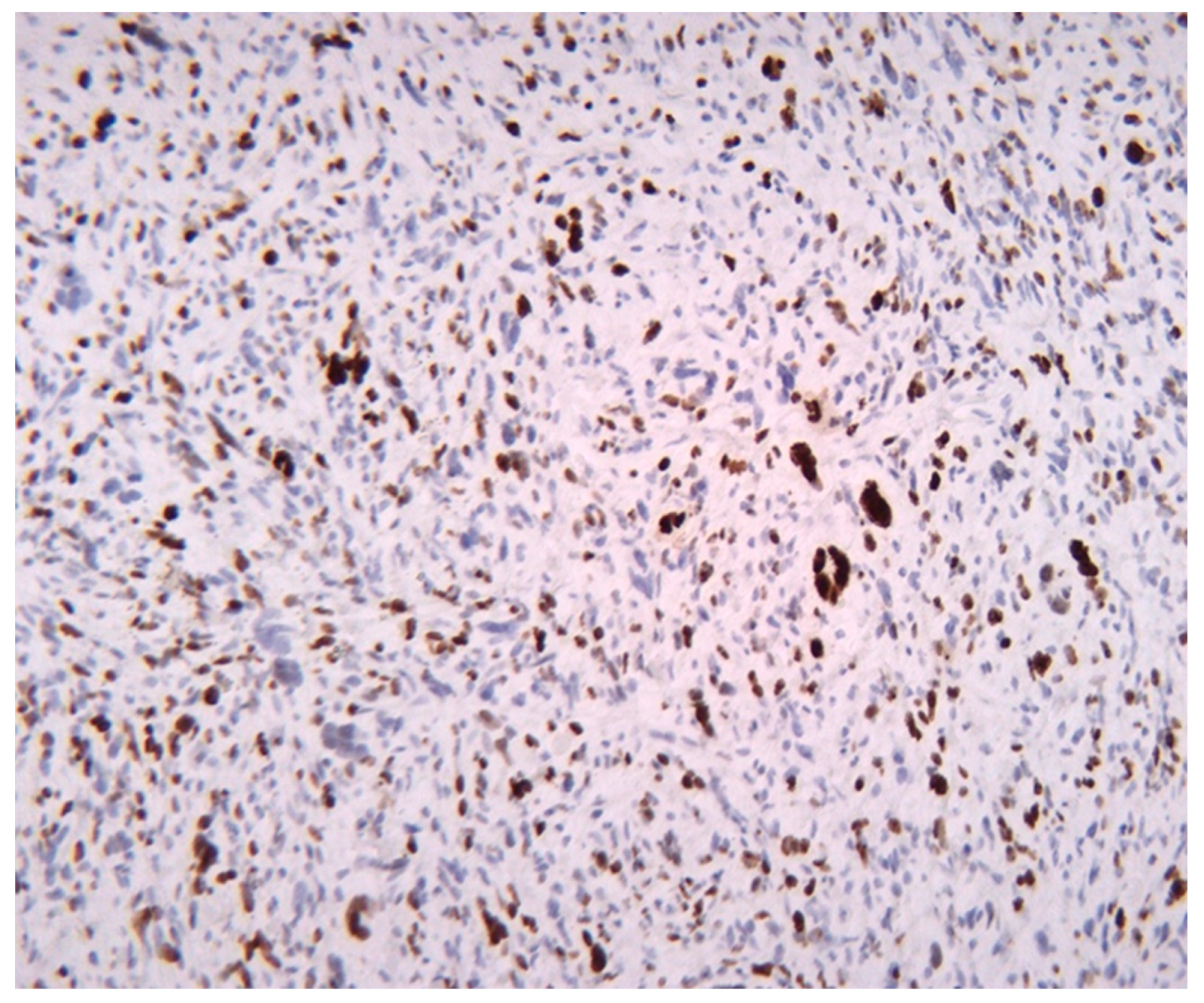 Medicina 61 01431 g008