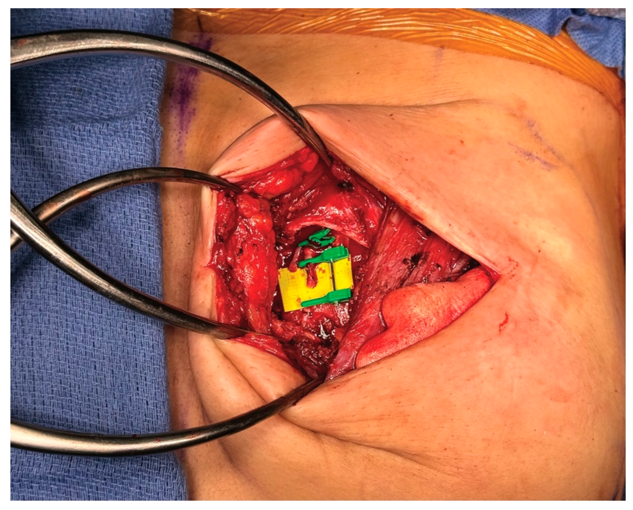 Medicina 61 01434 g011 Medicina 61 01434 g011