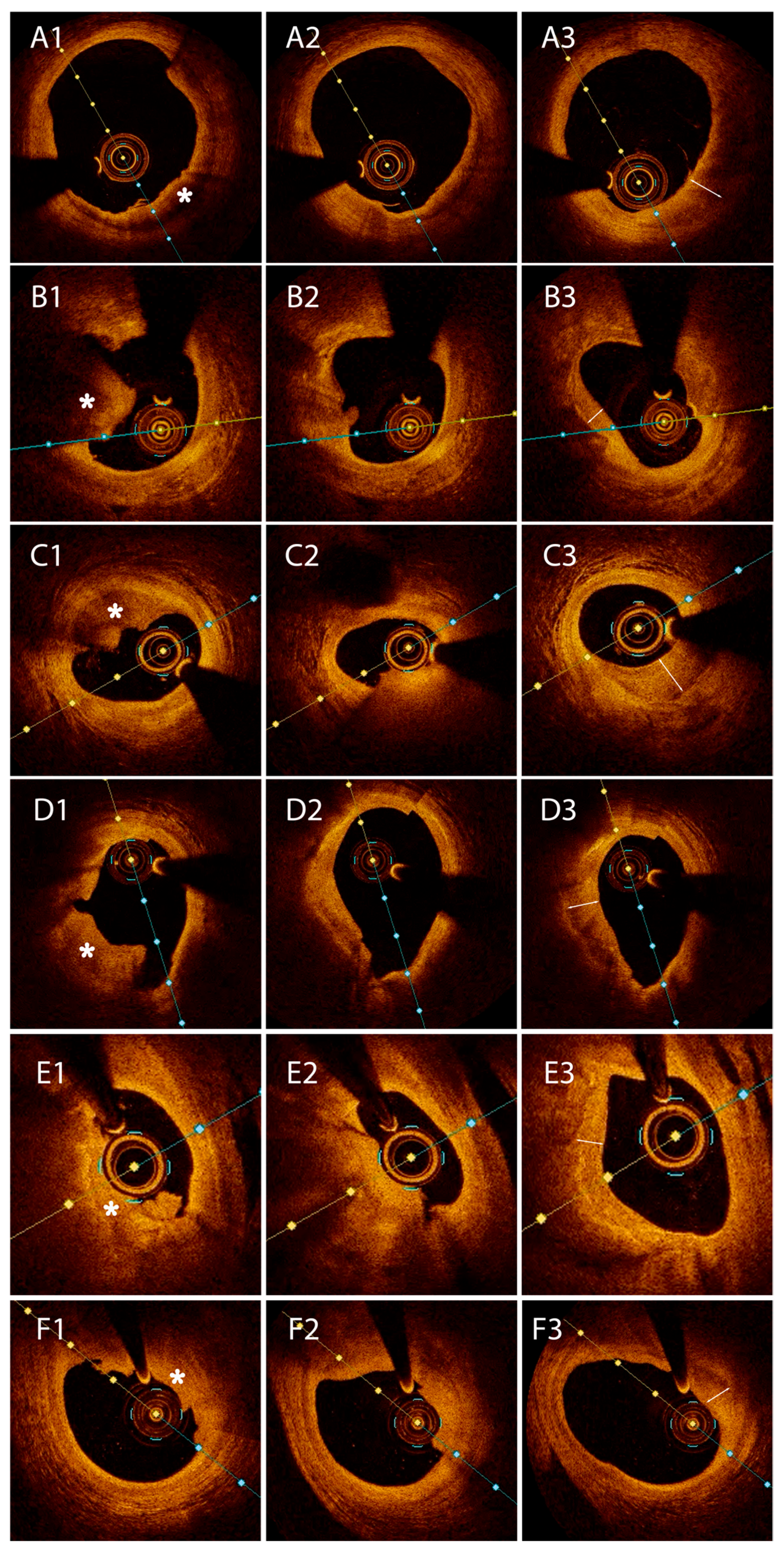 Medicina 61 01440 g004