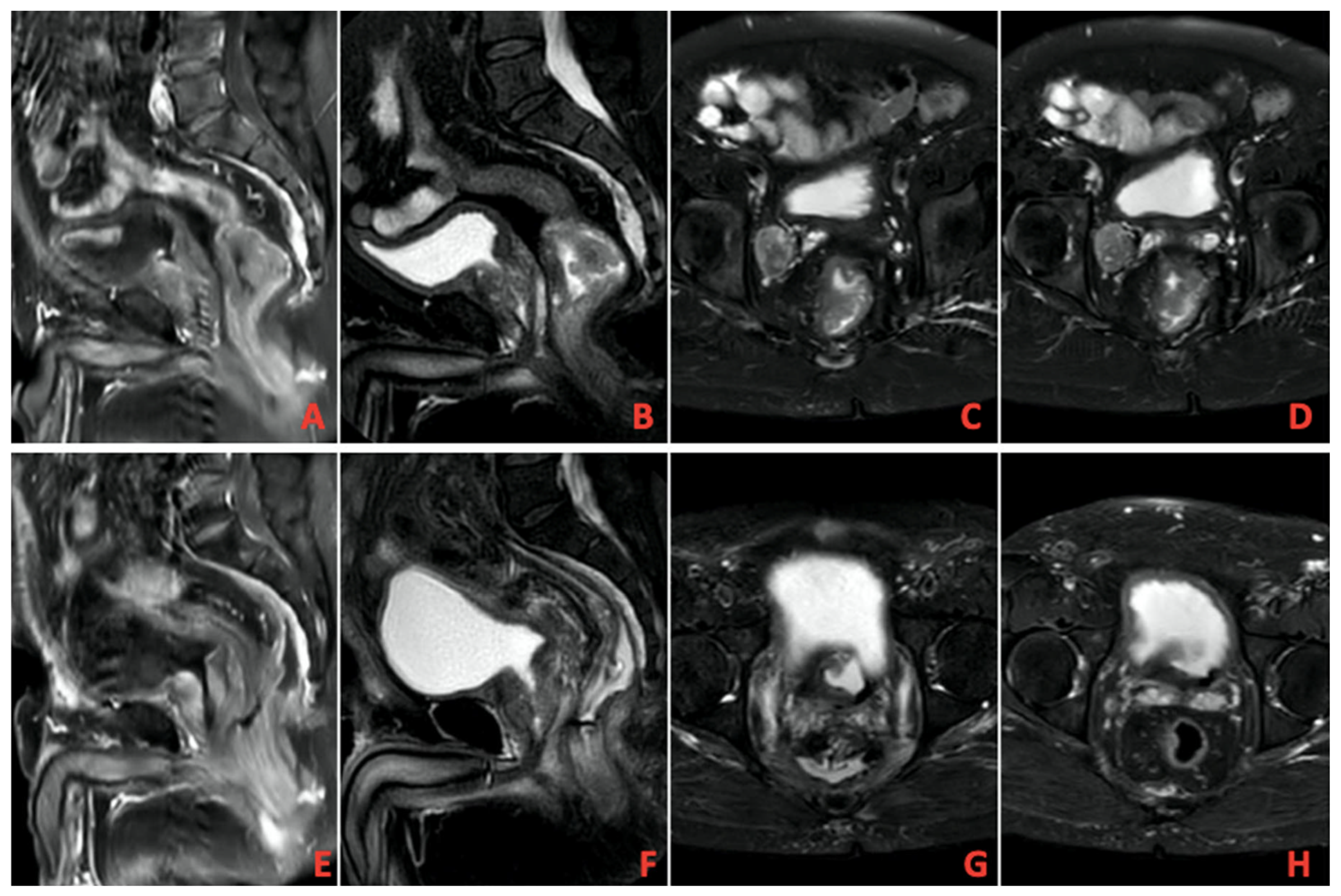 Medicina 61 01449 g001