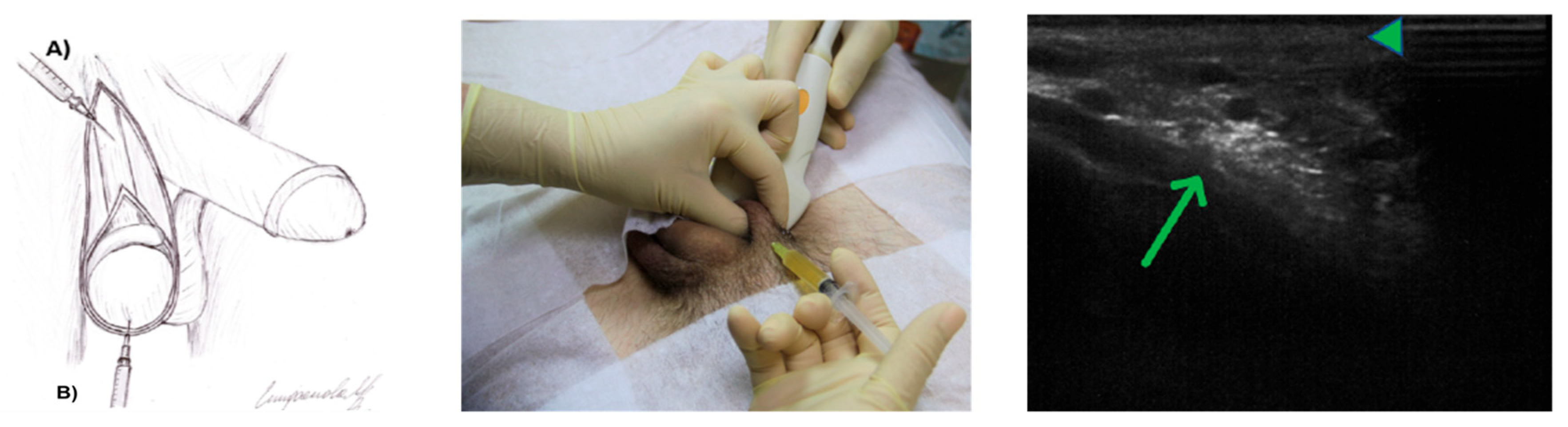 Medicina 61 01450 g001