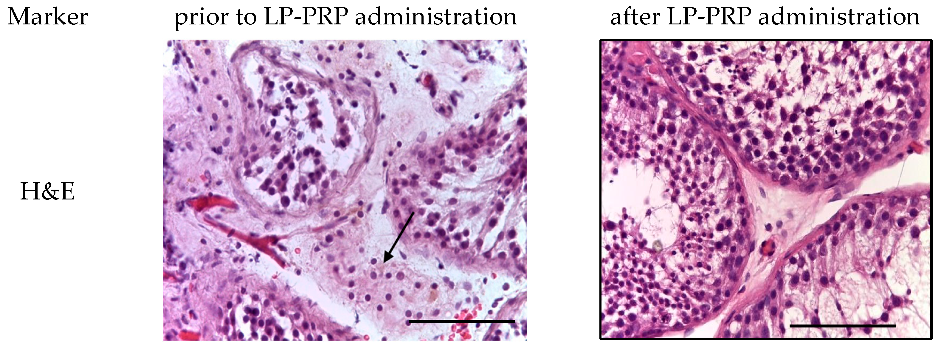 Medicina 61 01450 g002