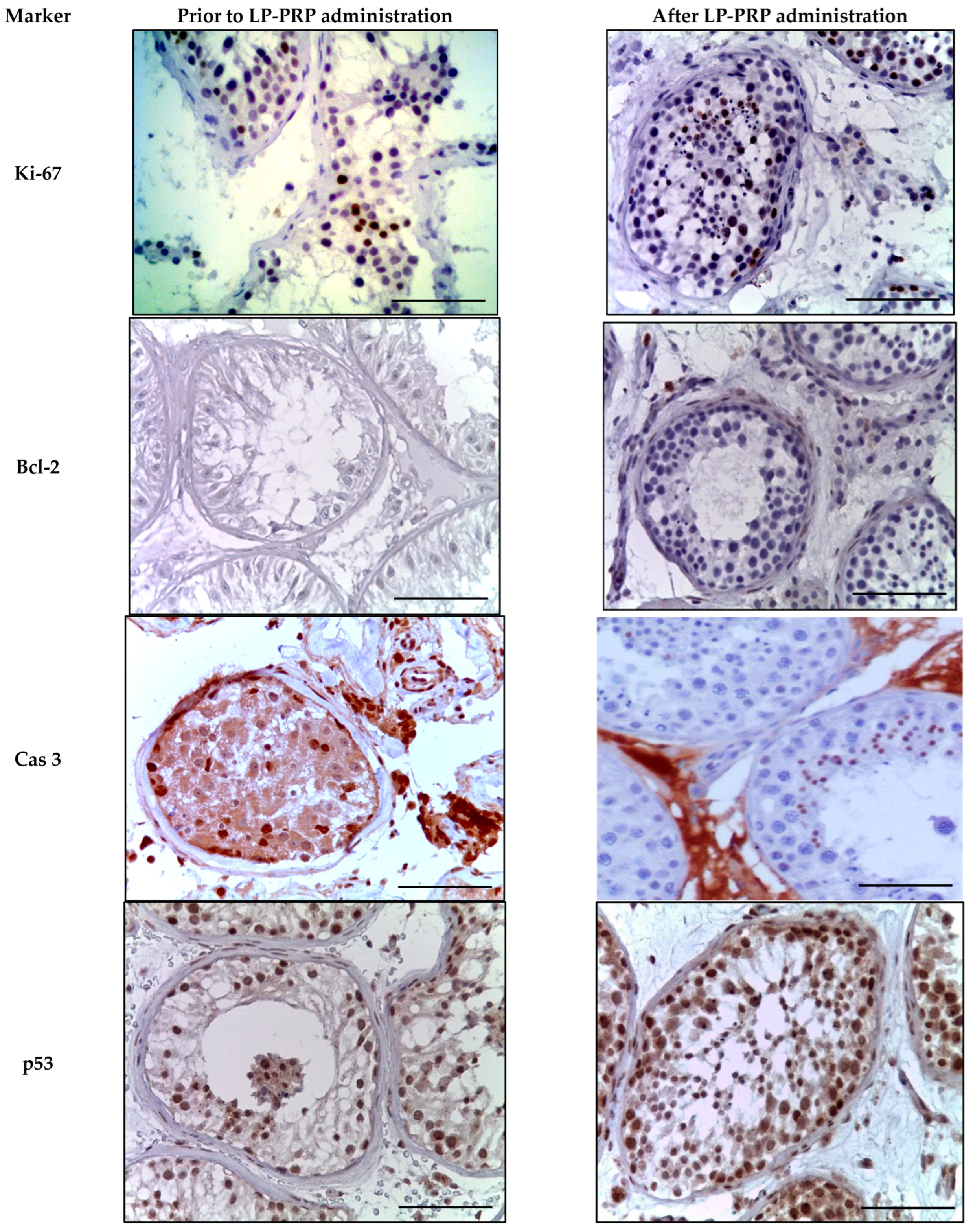 Medicina 61 01450 g006