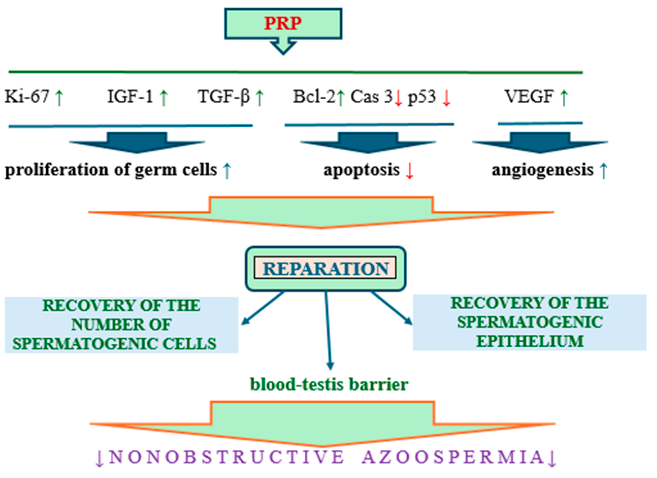 Medicina 61 01450 g008