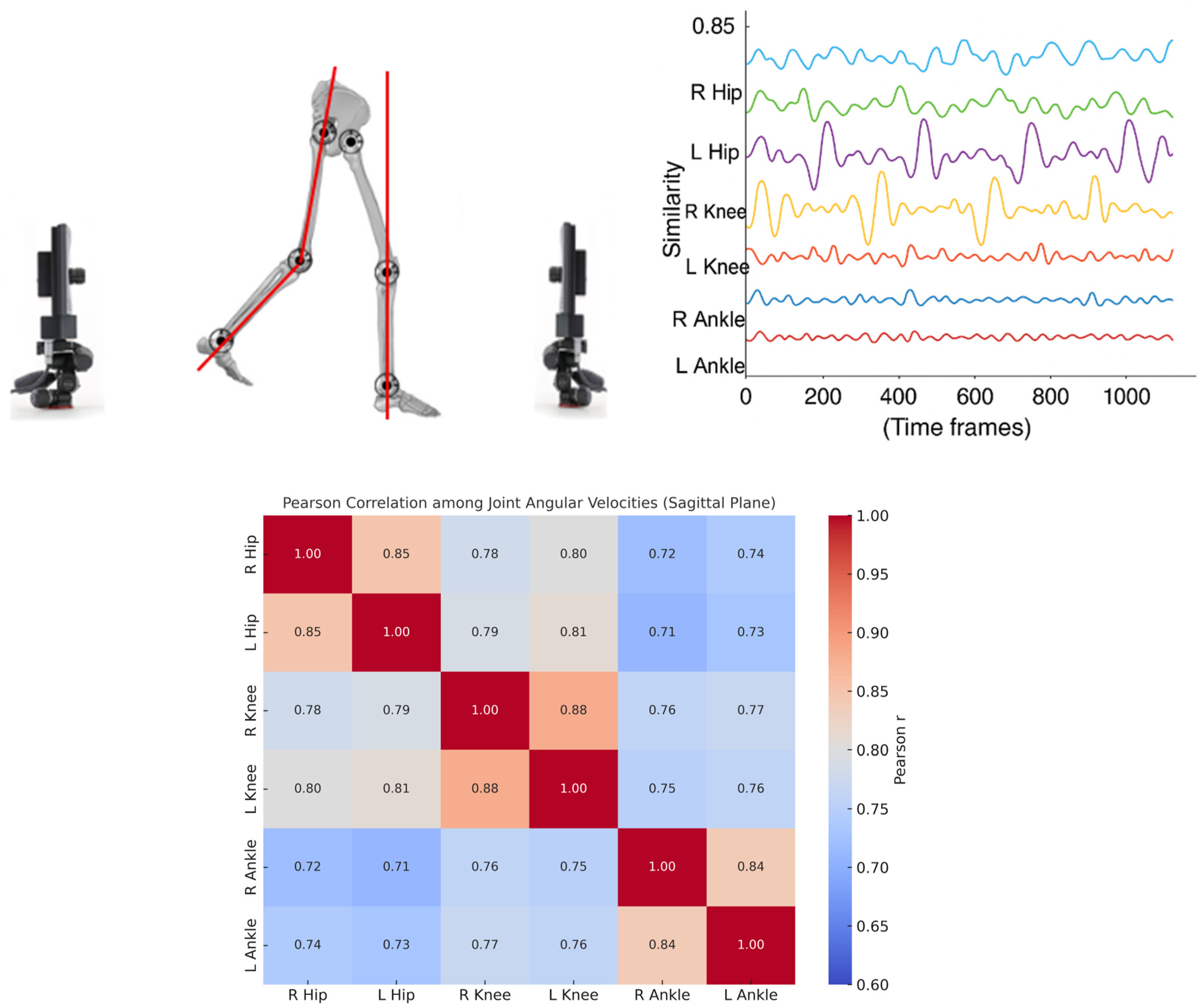 Medicina 61 01454 g002