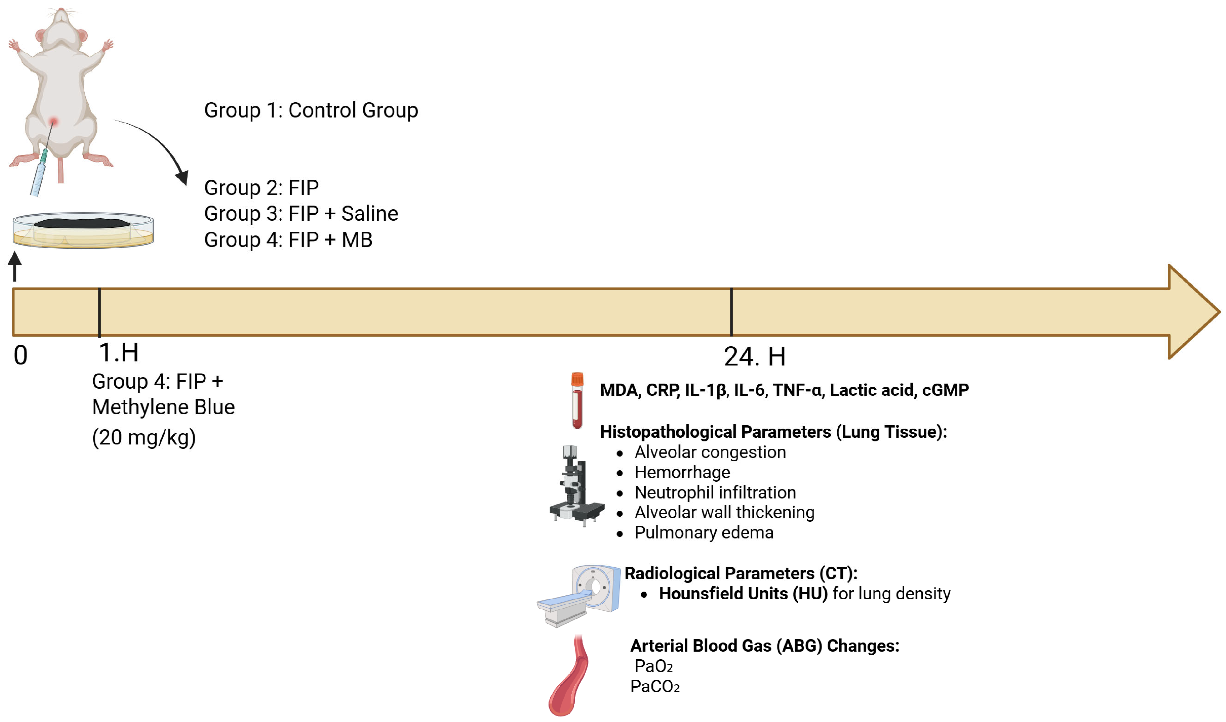 Medicina 61 01456 g001 Medicina 61 01456 g001