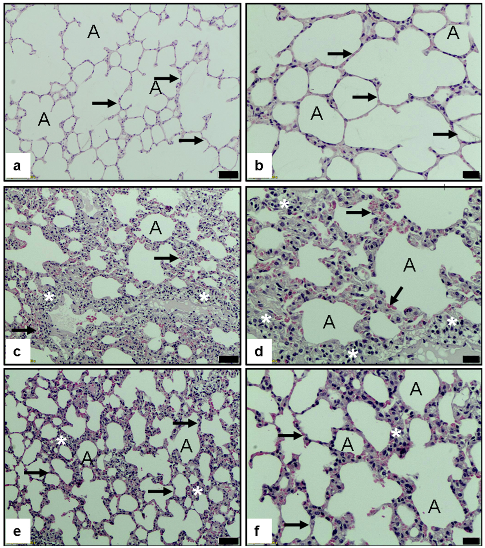 Medicina 61 01456 g003 Medicina 61 01456 g003