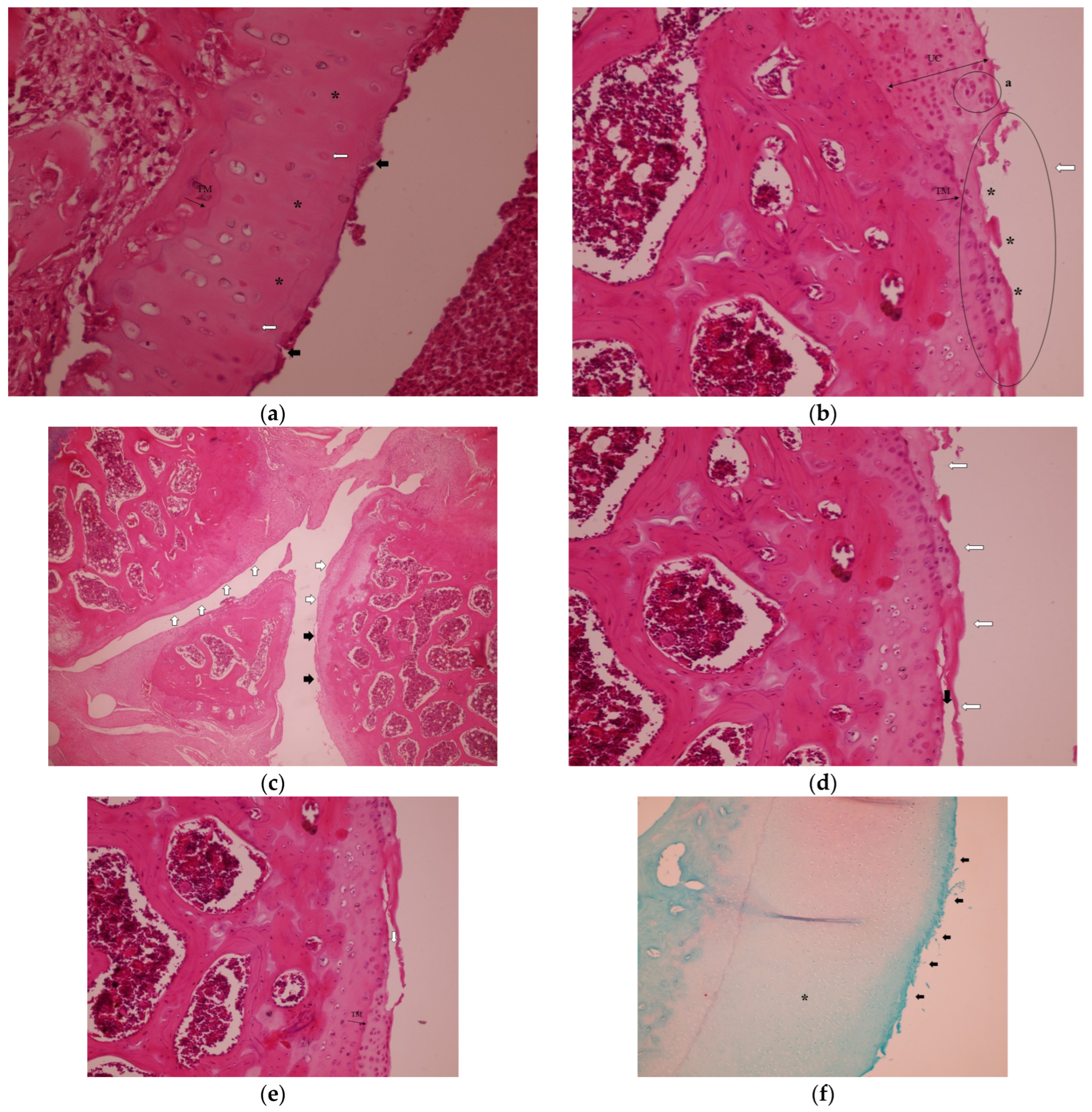Medicina 61 01461 g001