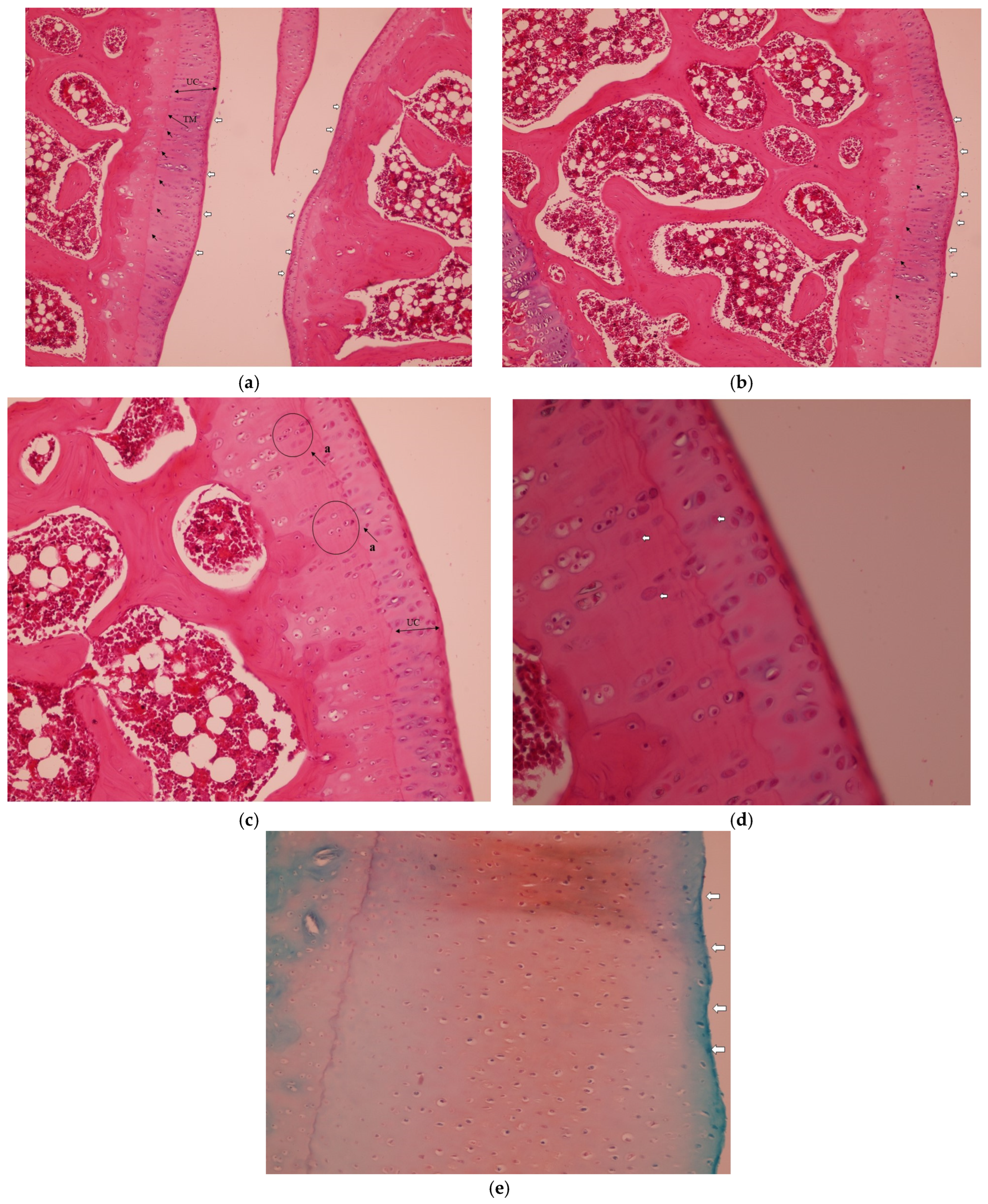 Medicina 61 01461 g002