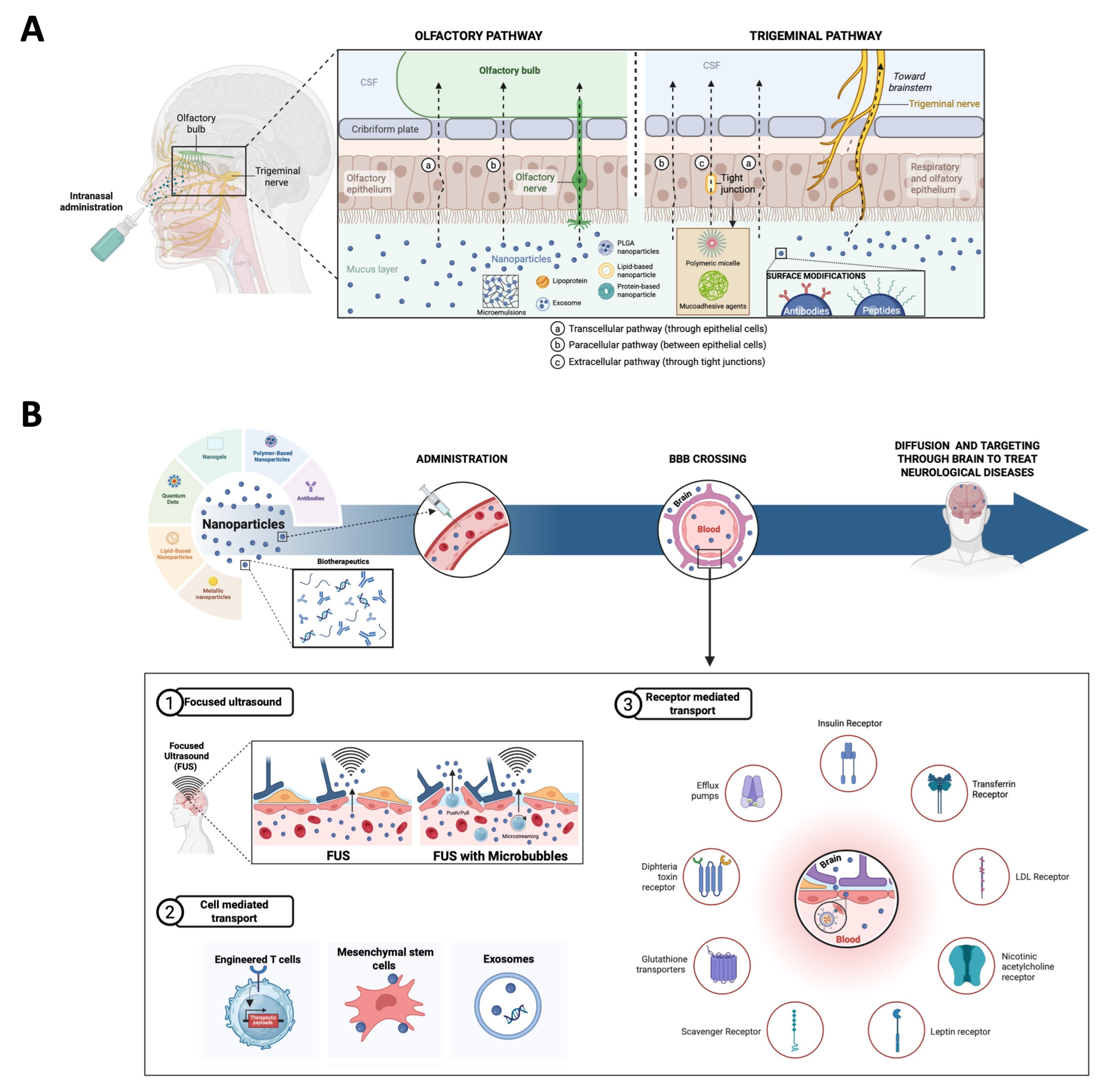 Medicina 61 01462 g003 Medicina 61 01462 g003