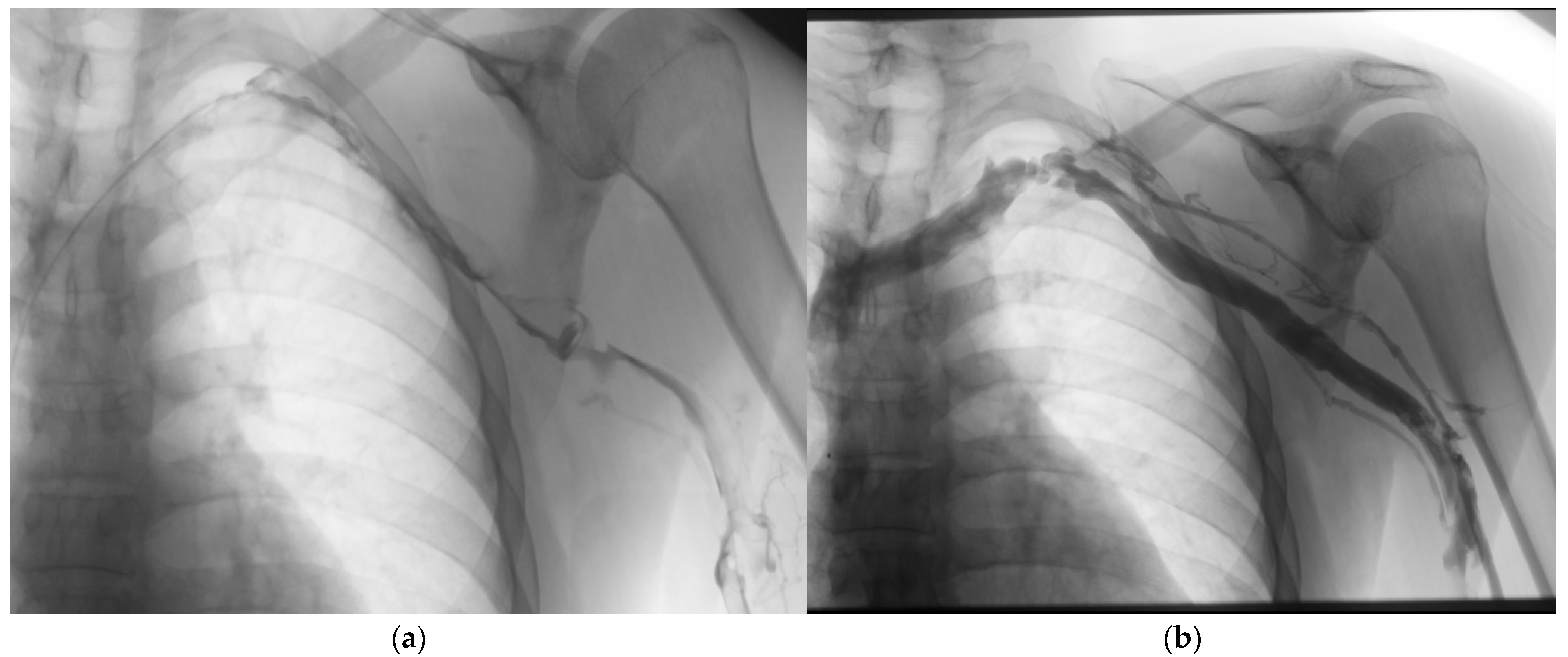 Medicina 61 01476 g002 Medicina 61 01476 g002