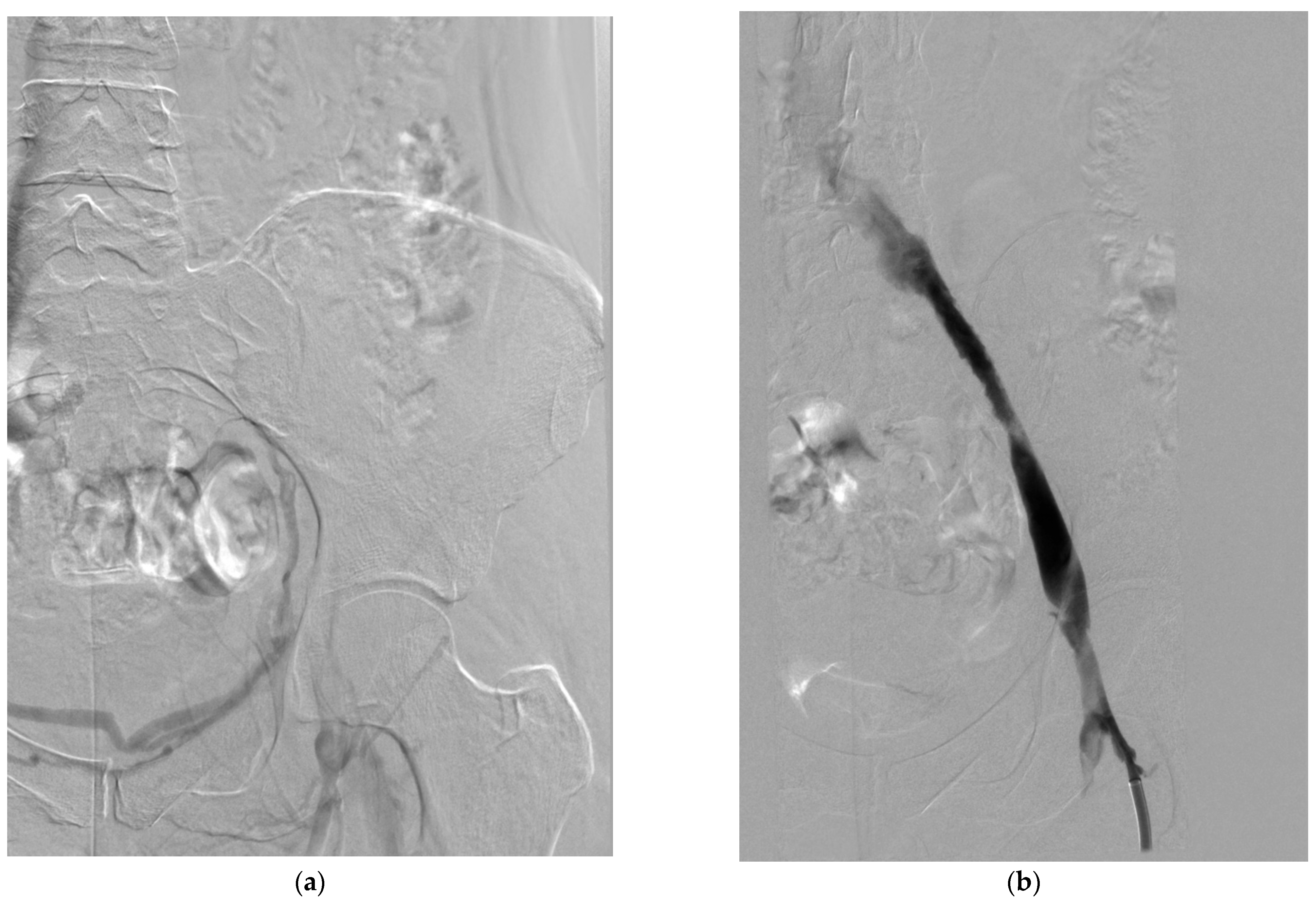 Medicina 61 01476 g003 Medicina 61 01476 g003