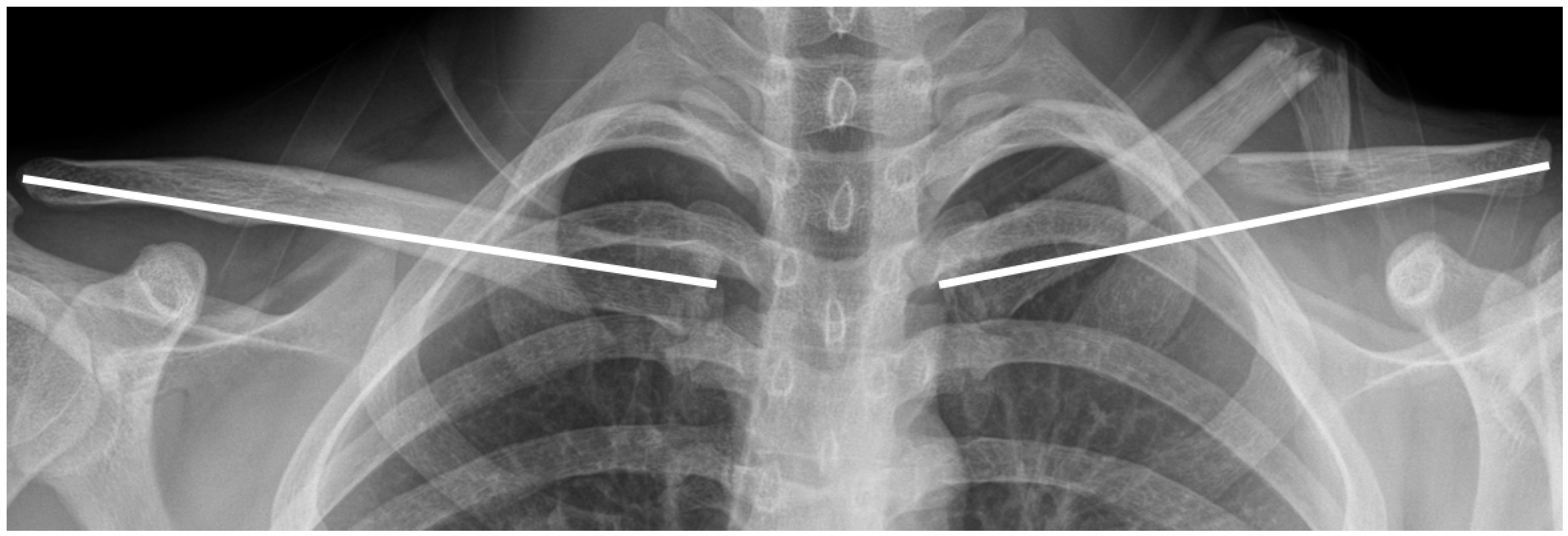 Medicina 61 01494 g001