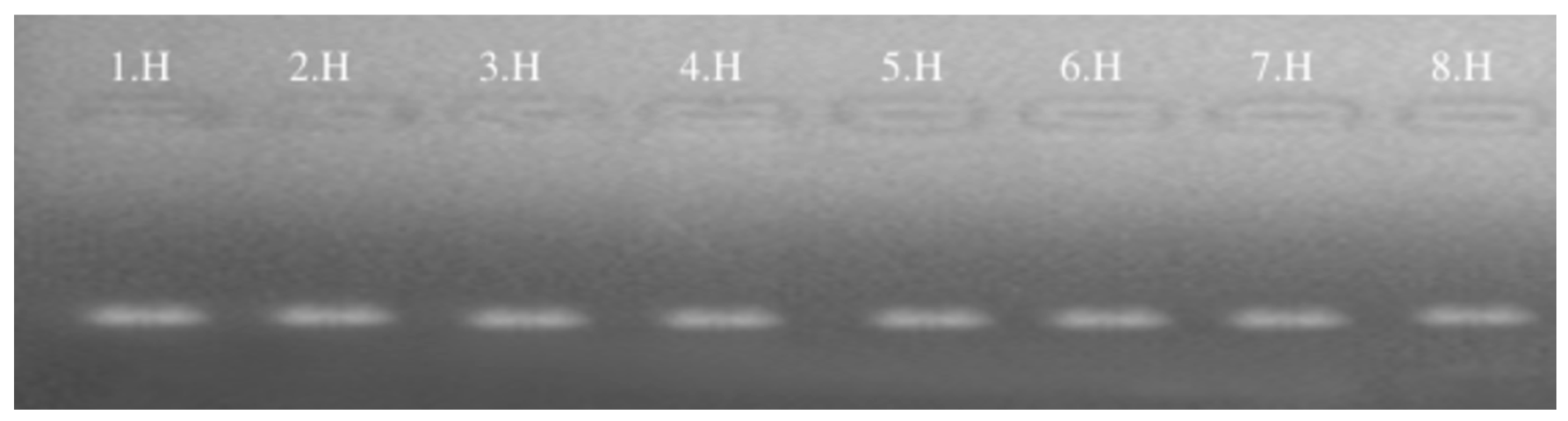 Medicina 61 01504 g001