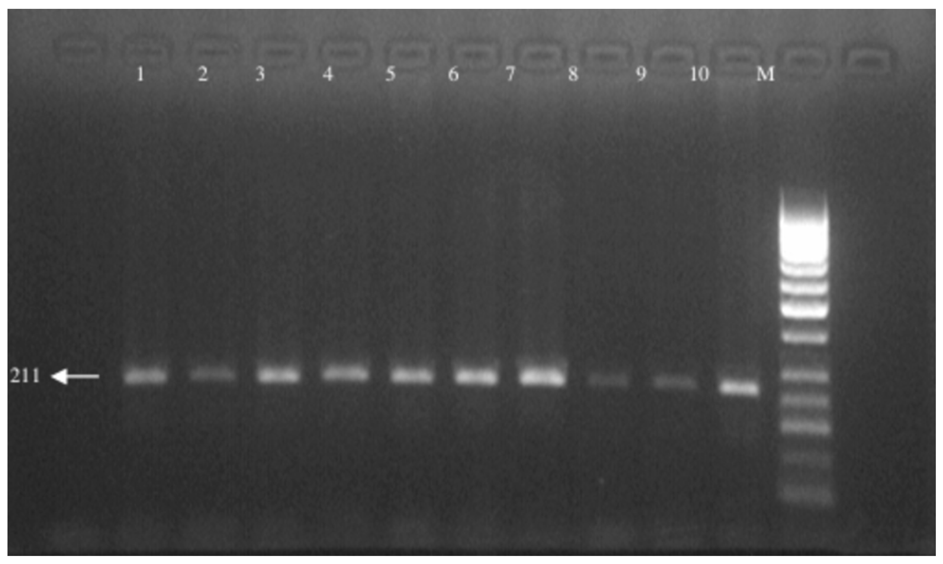 Medicina 61 01504 g003
