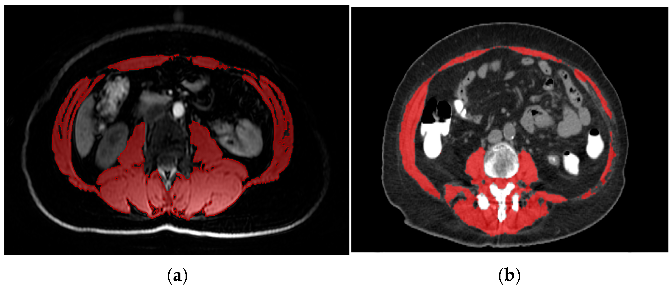 Medicina 61 01508 g001
