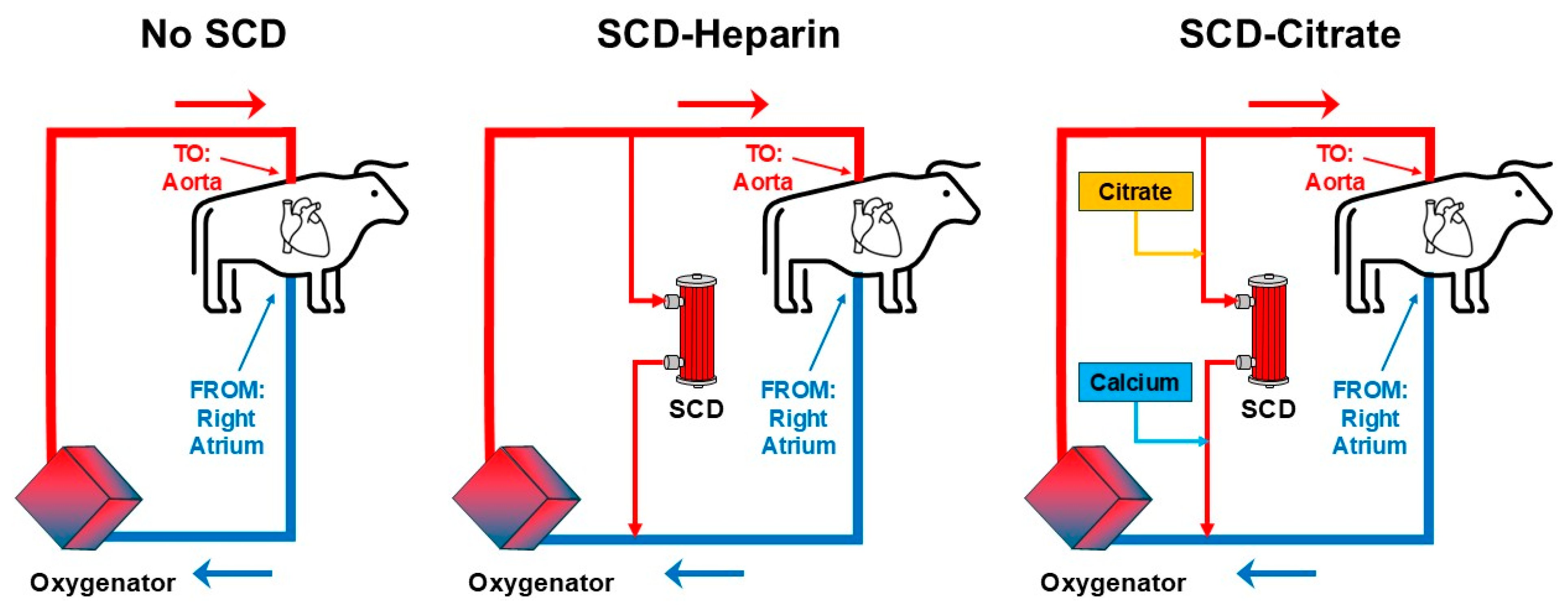 Medicina 61 01513 g001