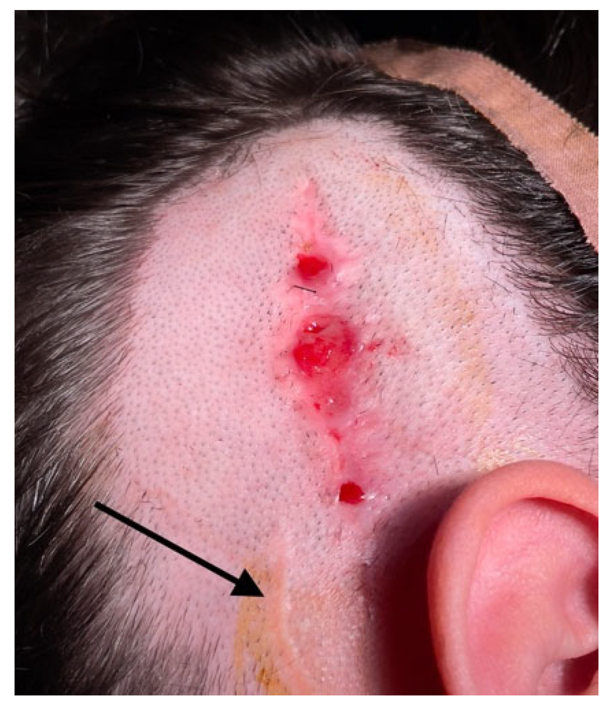 Medicina 61 01519 g001