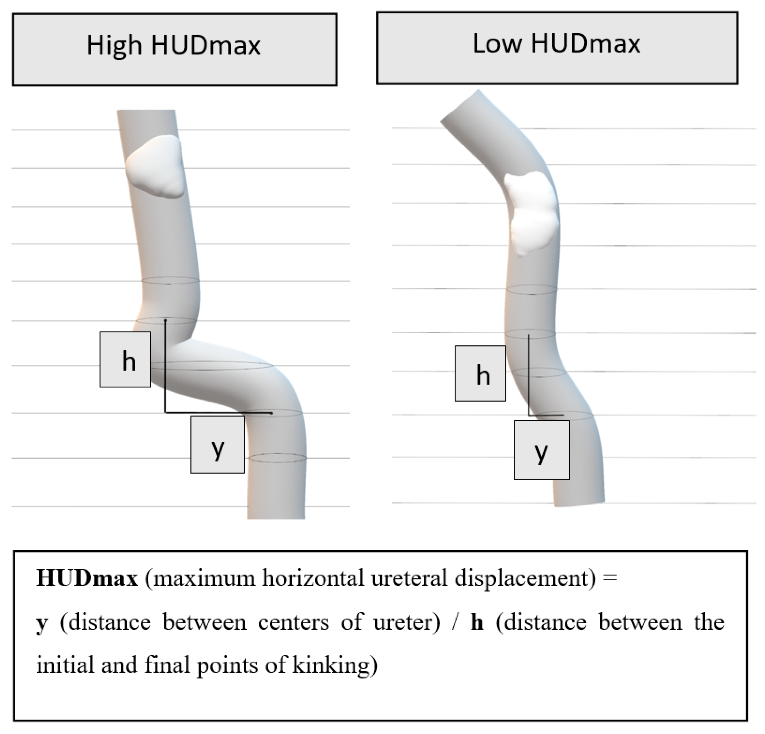Medicina 61 01525 g002