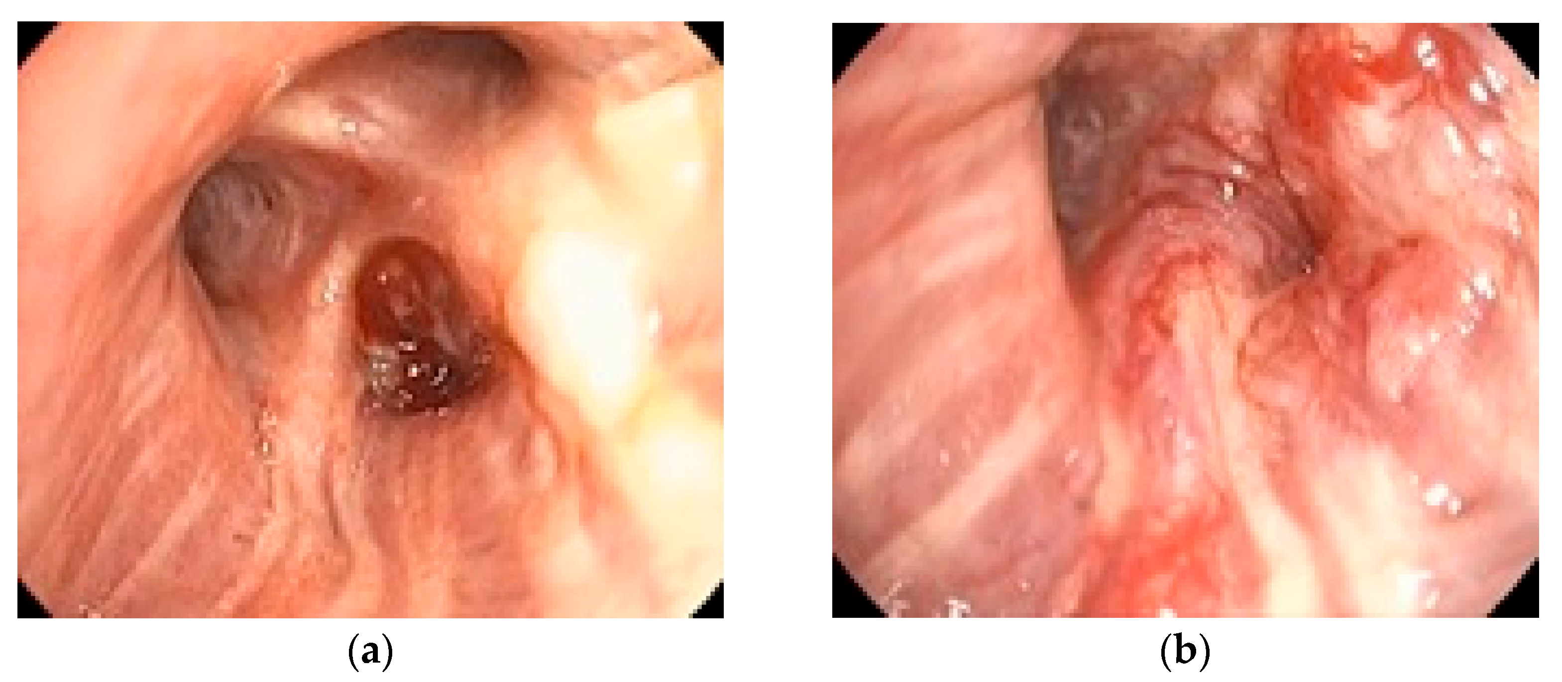 Medicina 61 01528 g001