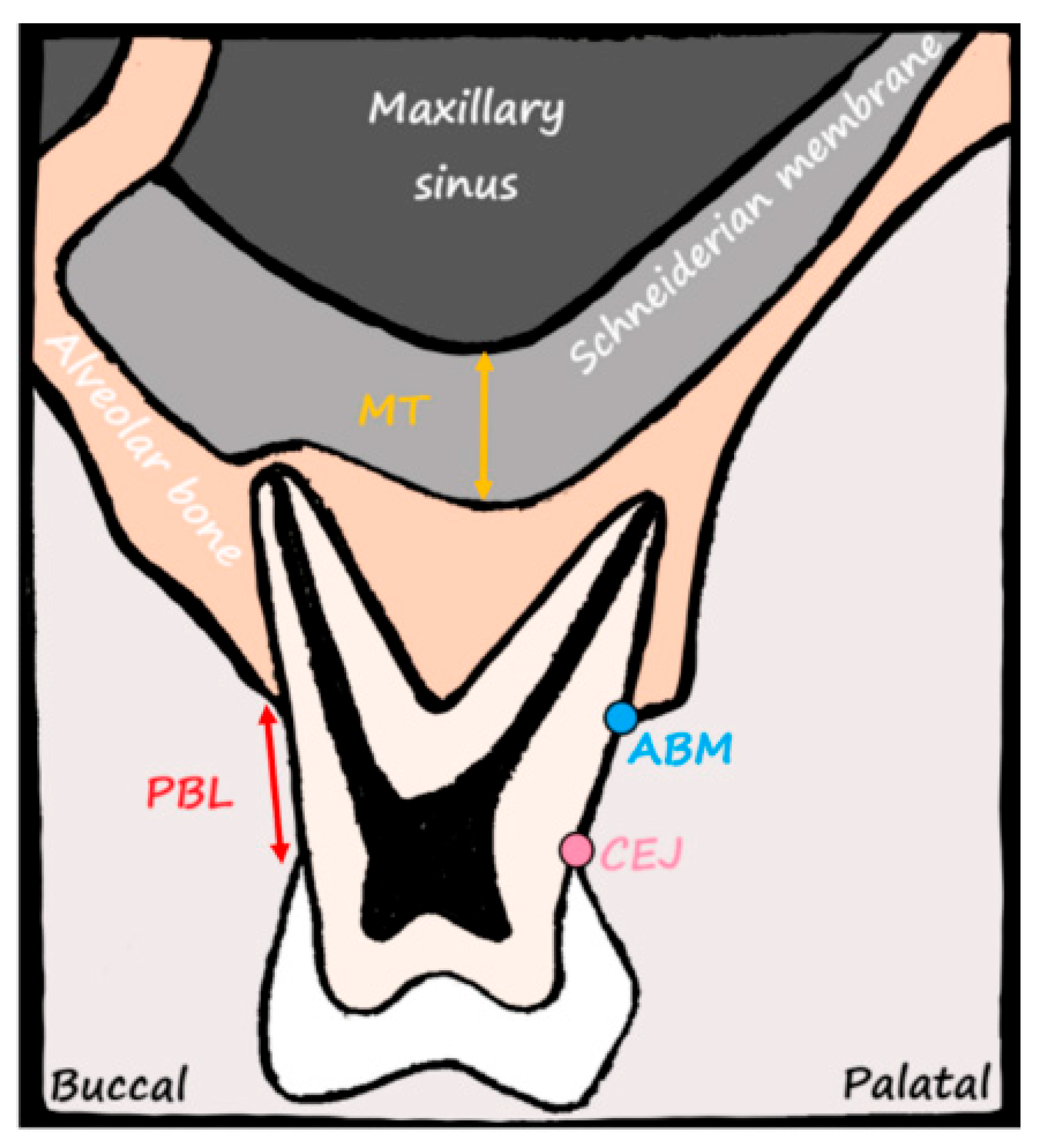 Medicina 61 01529 g001 Medicina 61 01529 g001