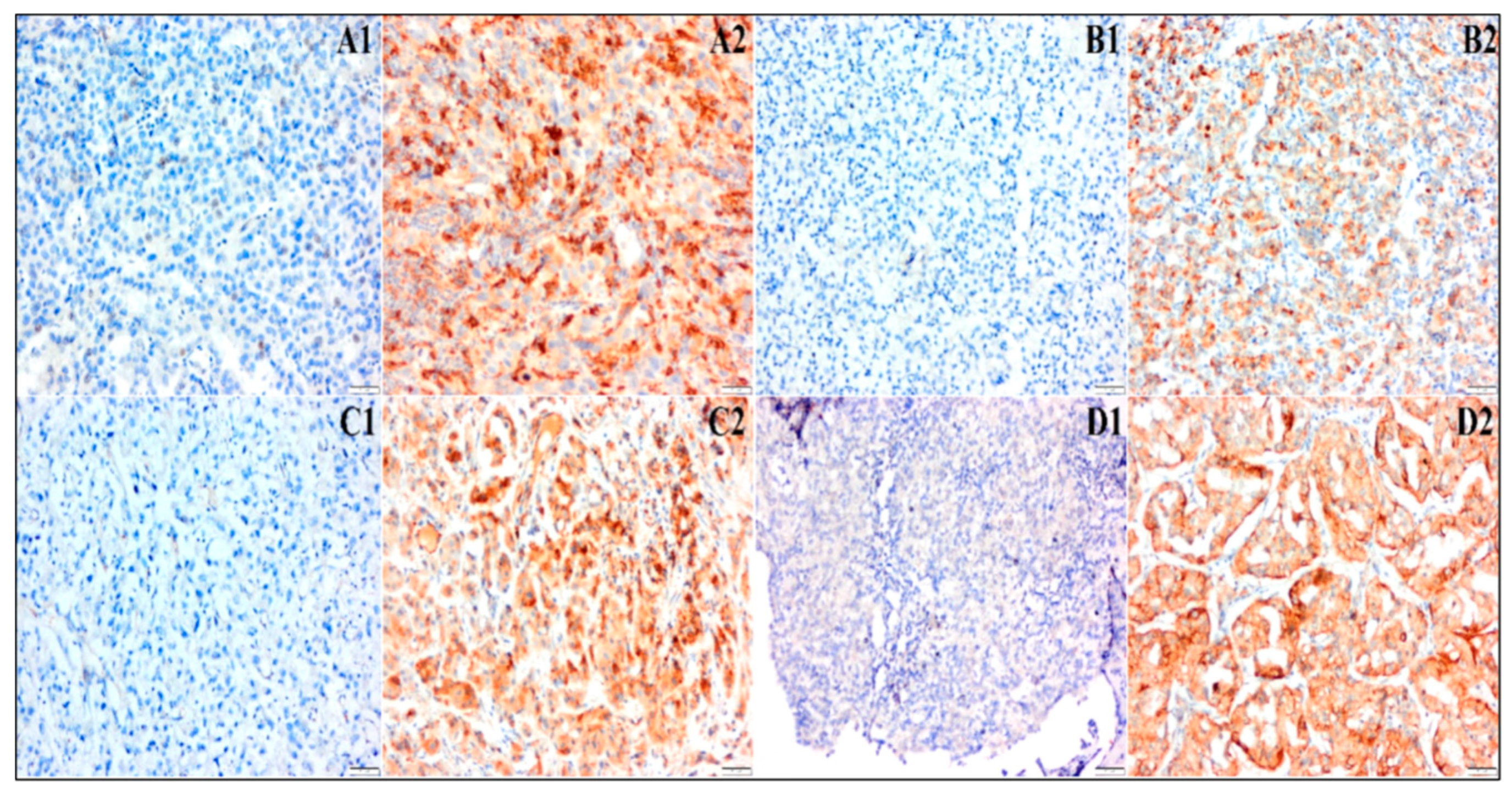 Medicina 61 01544 g001