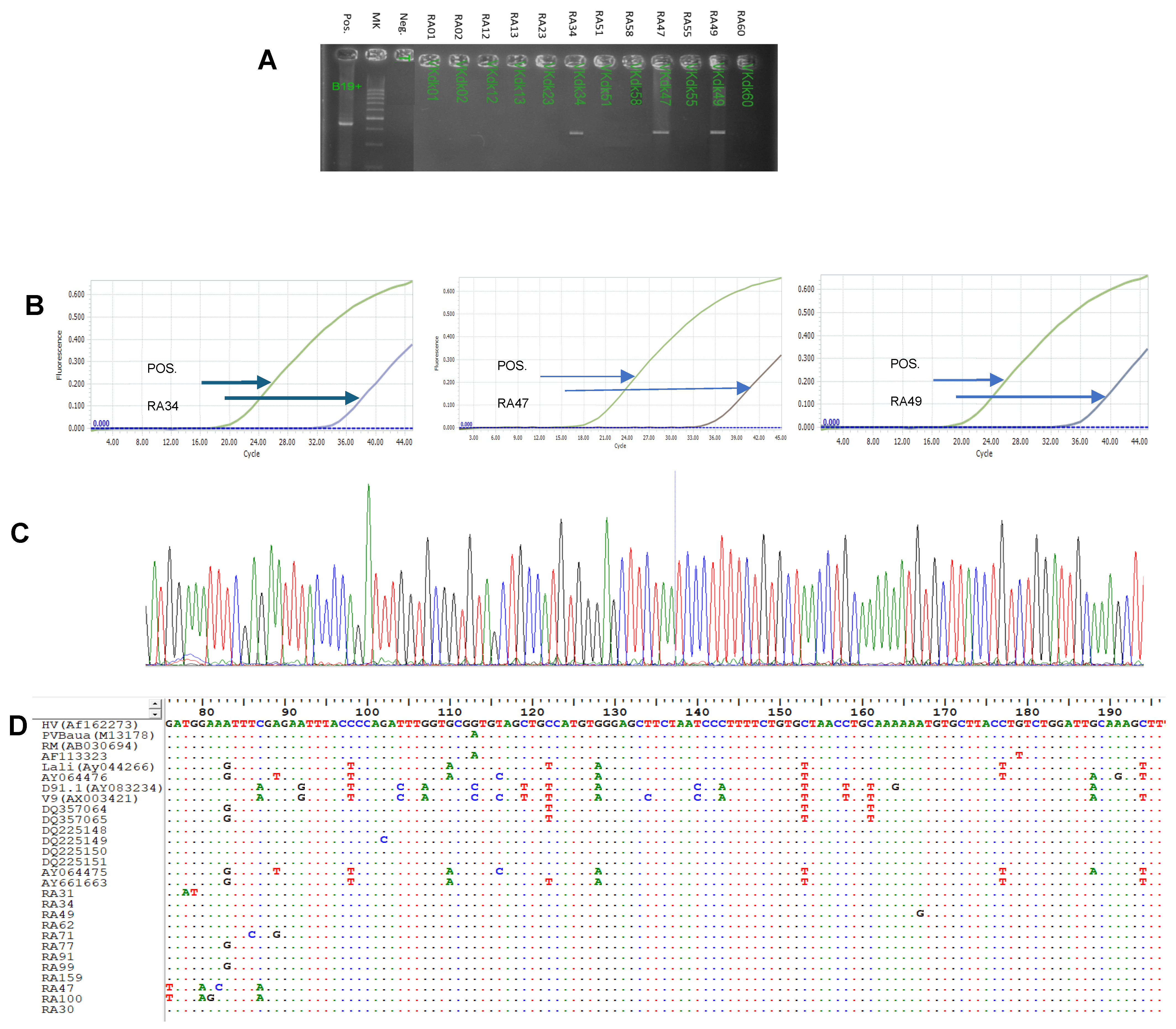 Medicina 61 01546 g001