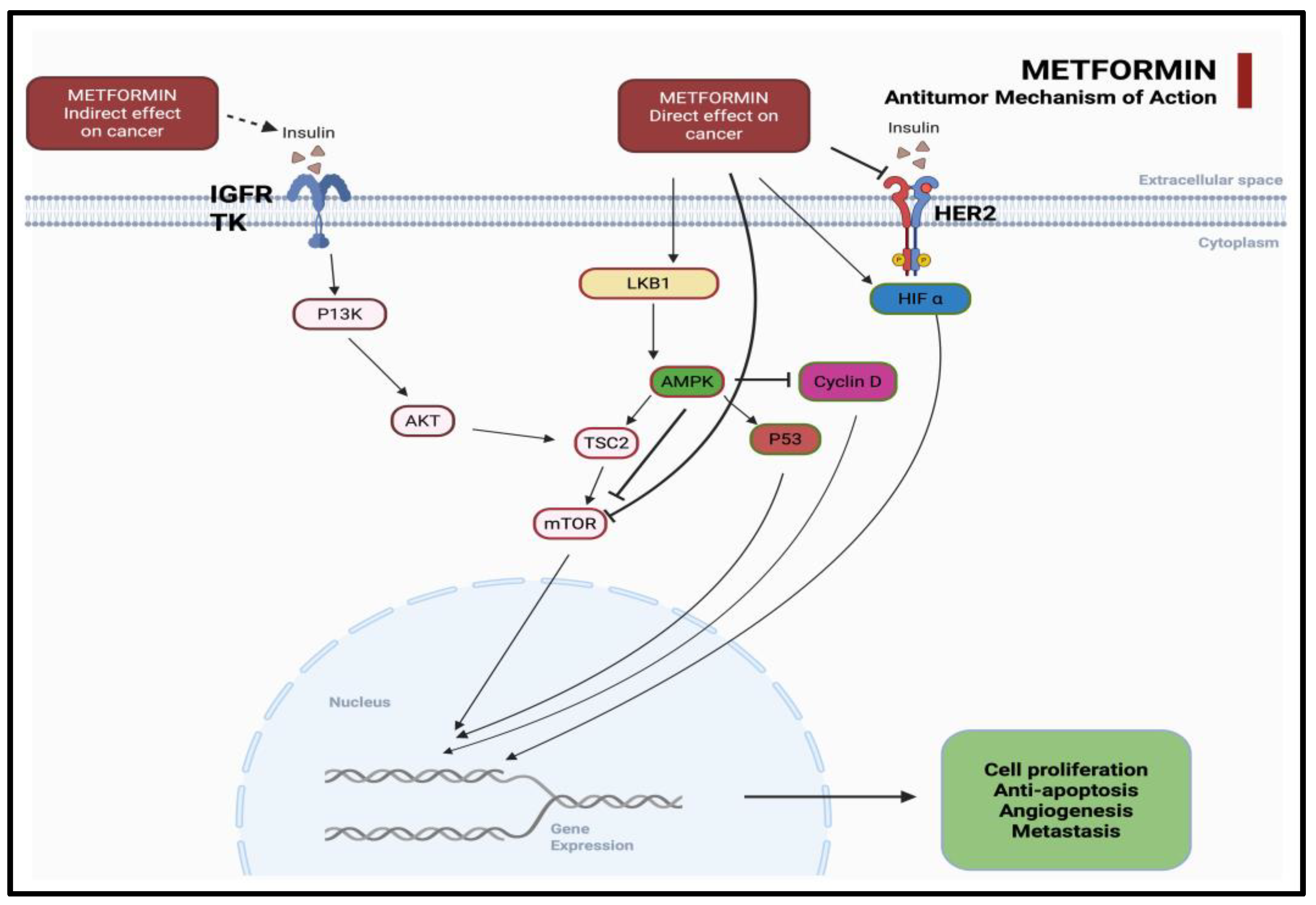 Medicina 61 01577 g001 Medicina 61 01577 g001