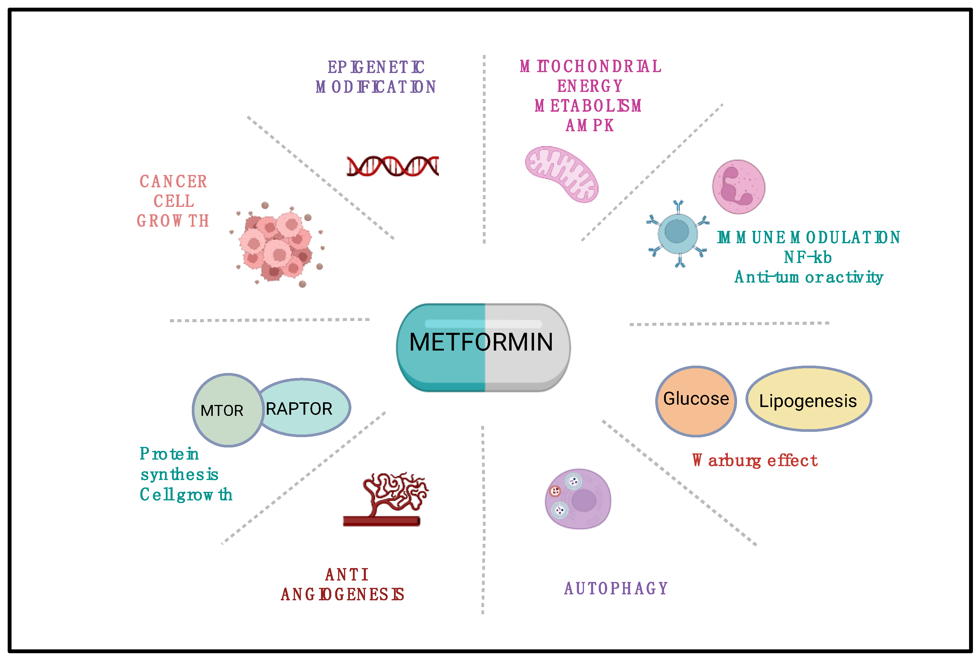 Medicina 61 01577 g002 Medicina 61 01577 g002